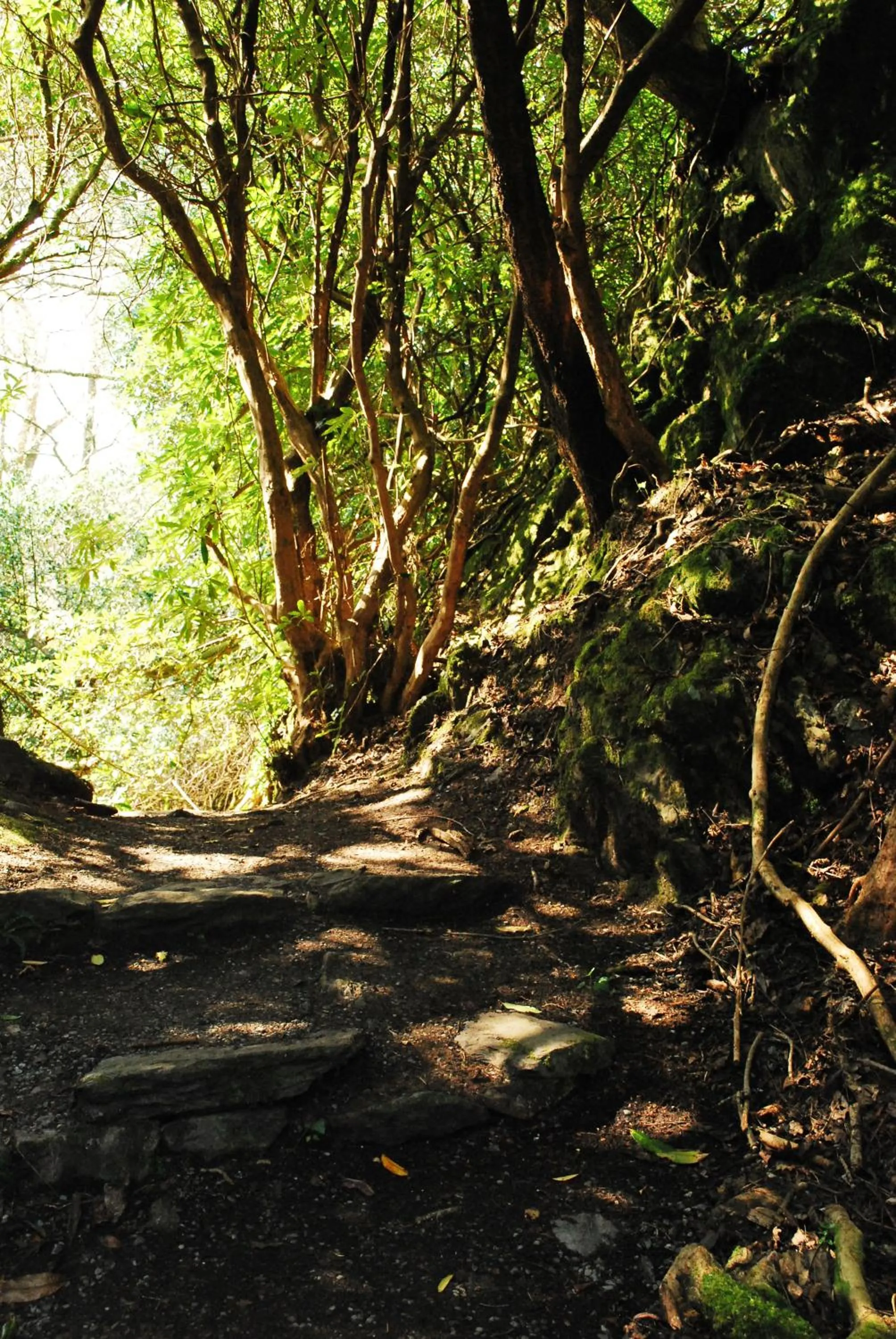 Fishing in Casey's Hotel