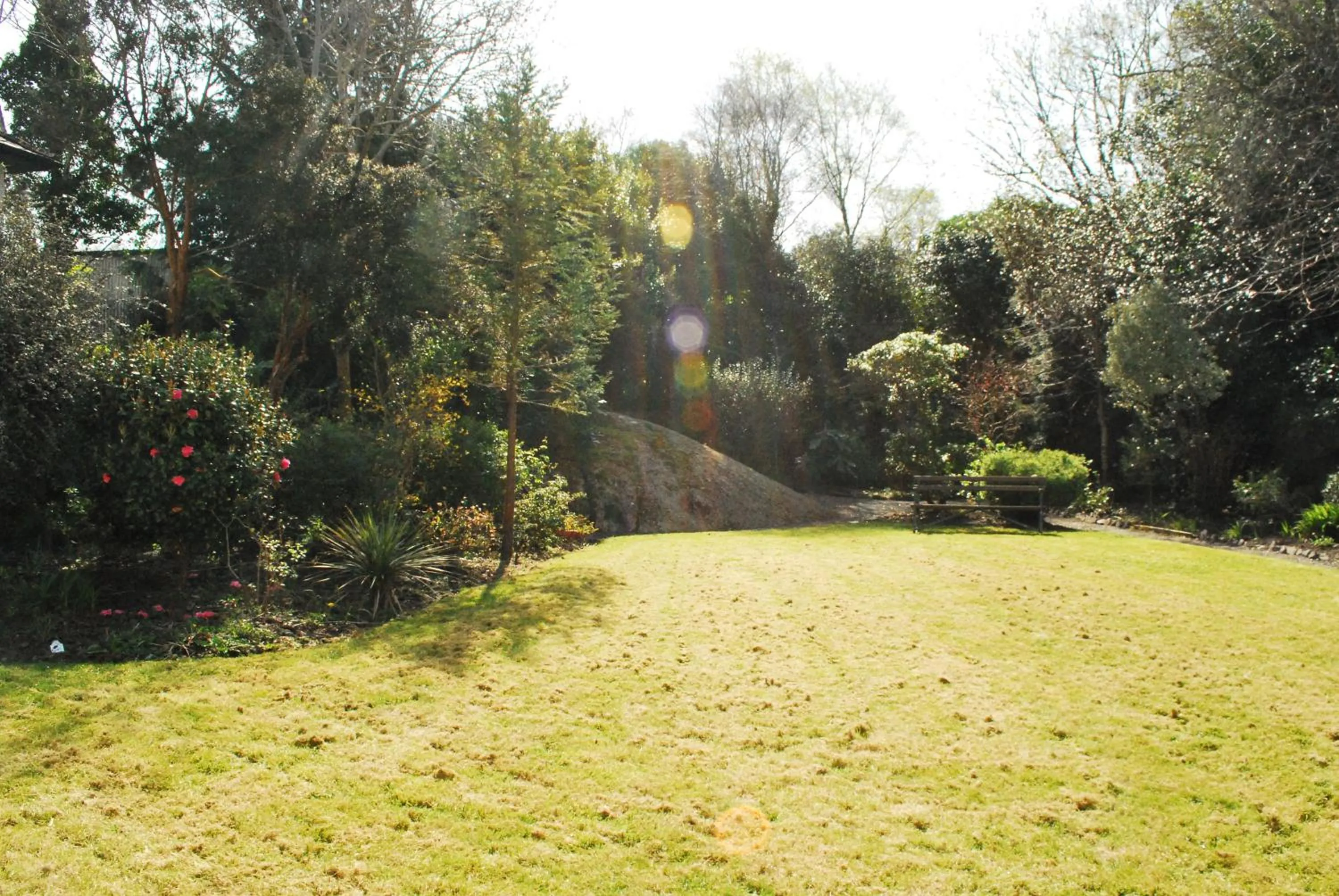 Garden in Casey's Hotel