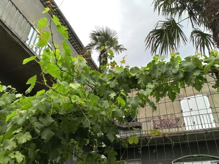 Property building in La Maison Jaffran, suite en ville