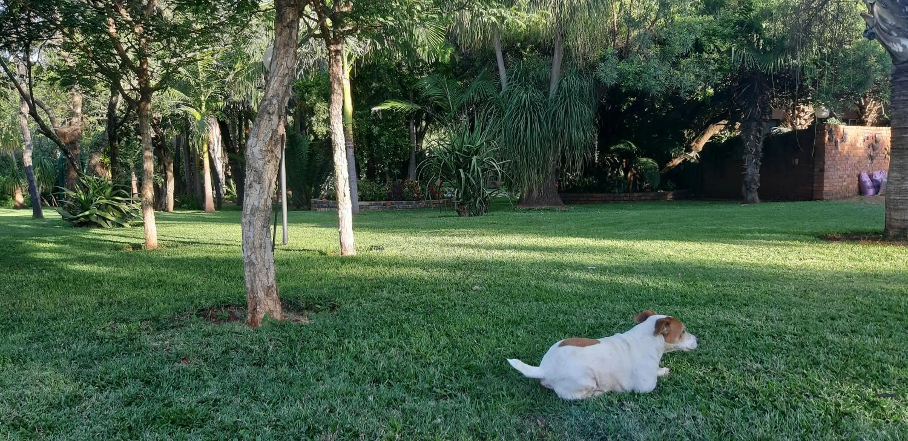 Suikerbosrant Sleep and go