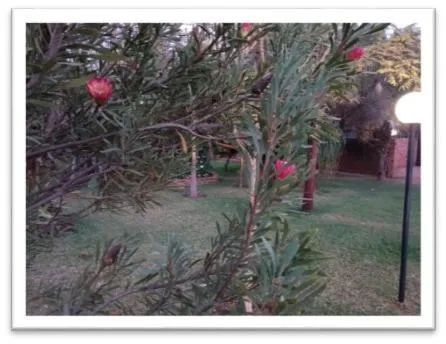 Suikerbosrant Sleep and go