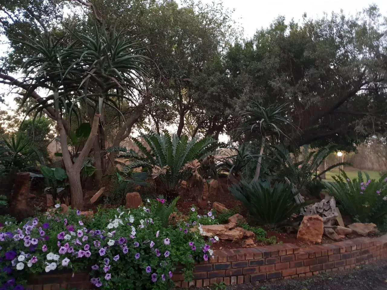 Suikerbosrant Sleep and go