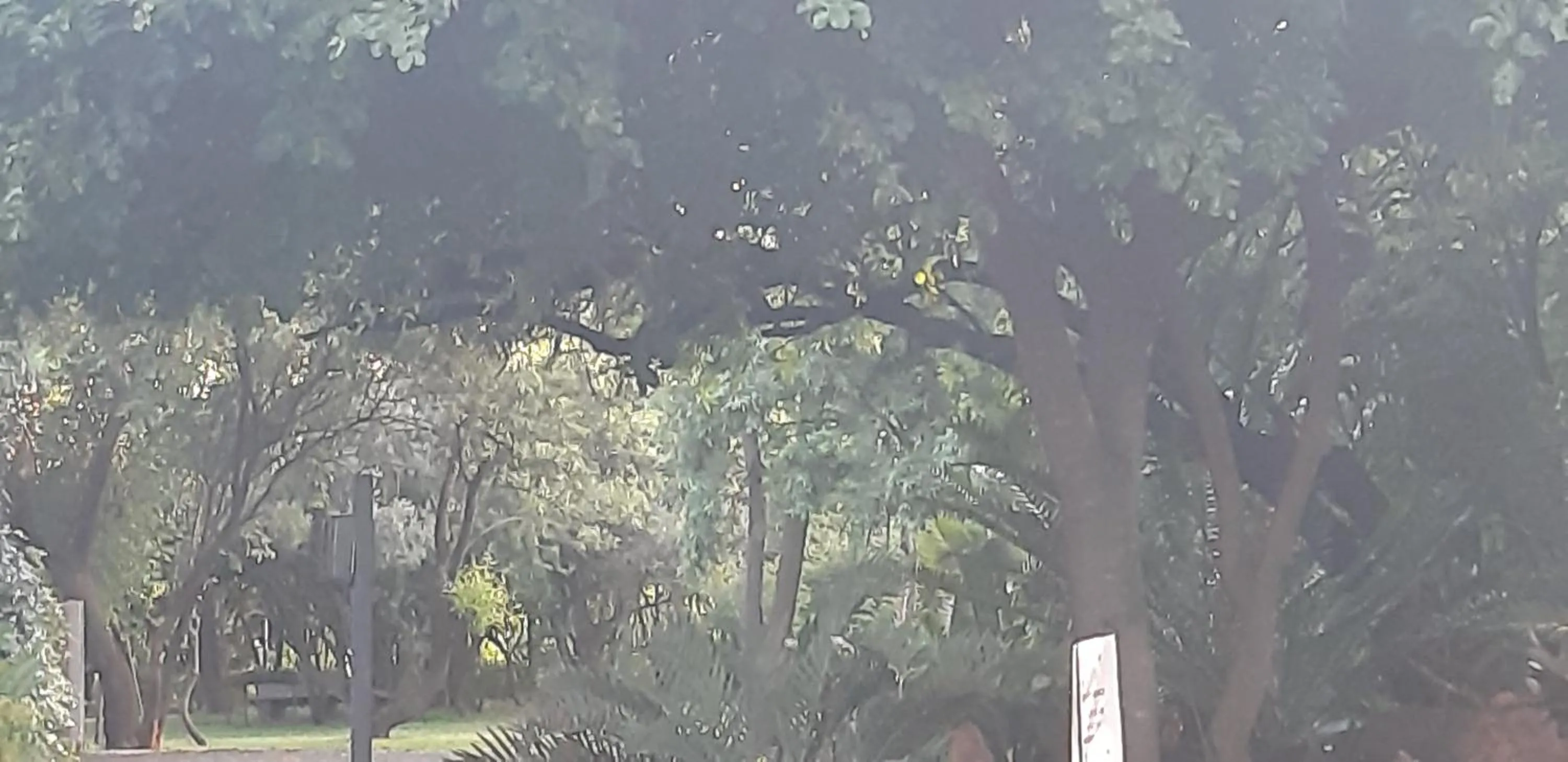 Suikerbosrant Sleep and go