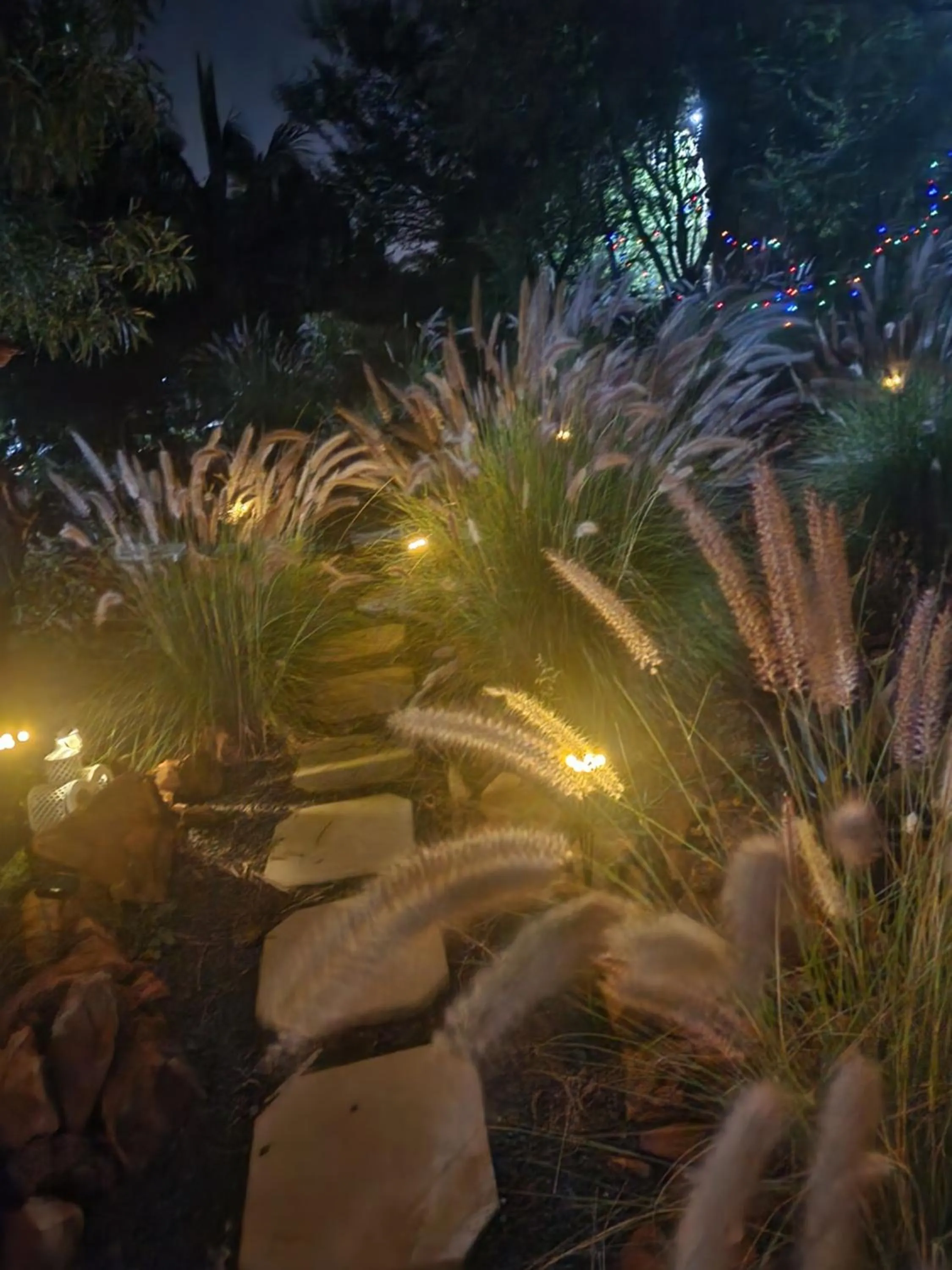 Suikerbosrant Sleep and go