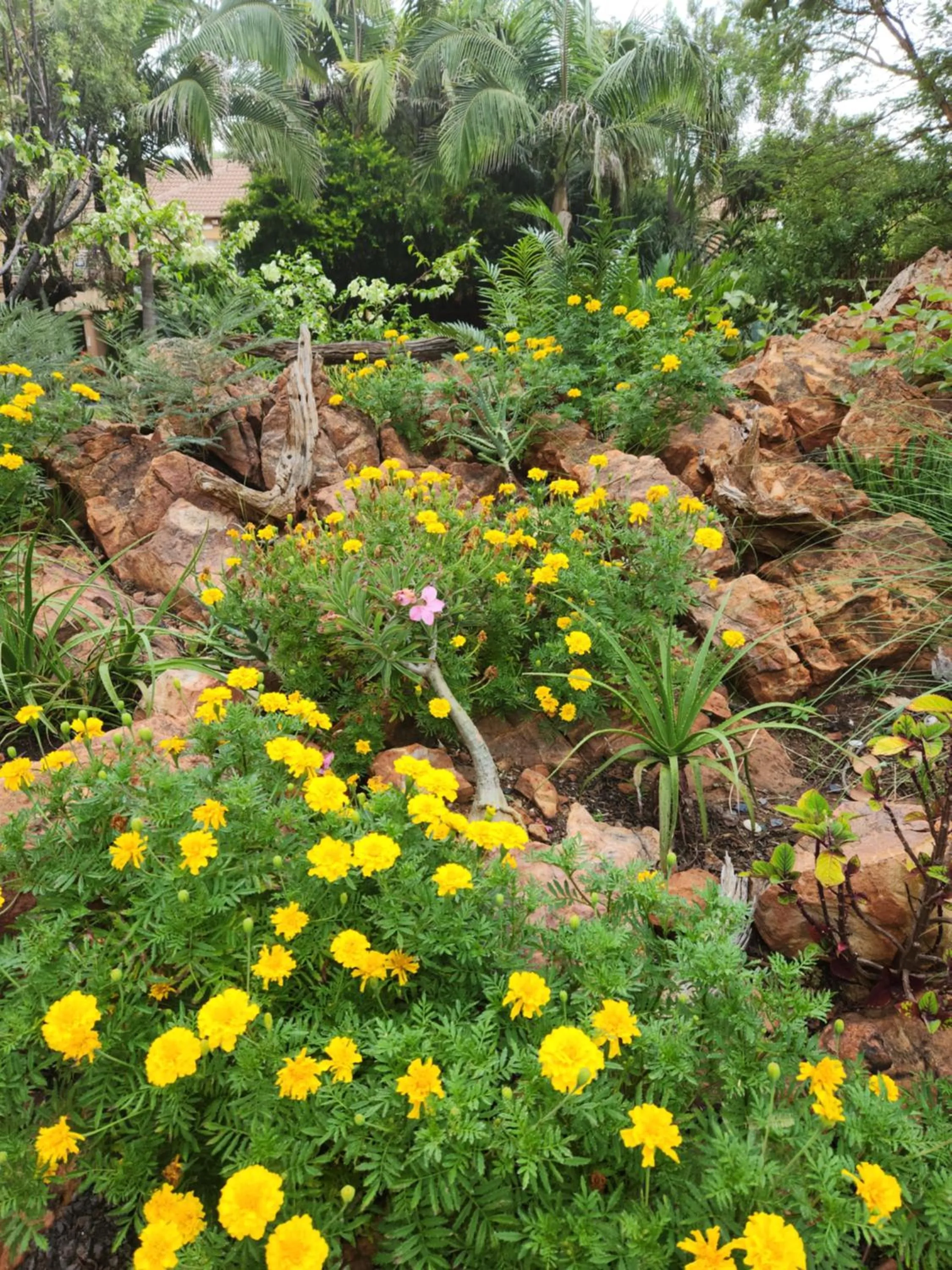 Suikerbosrant Sleep and go