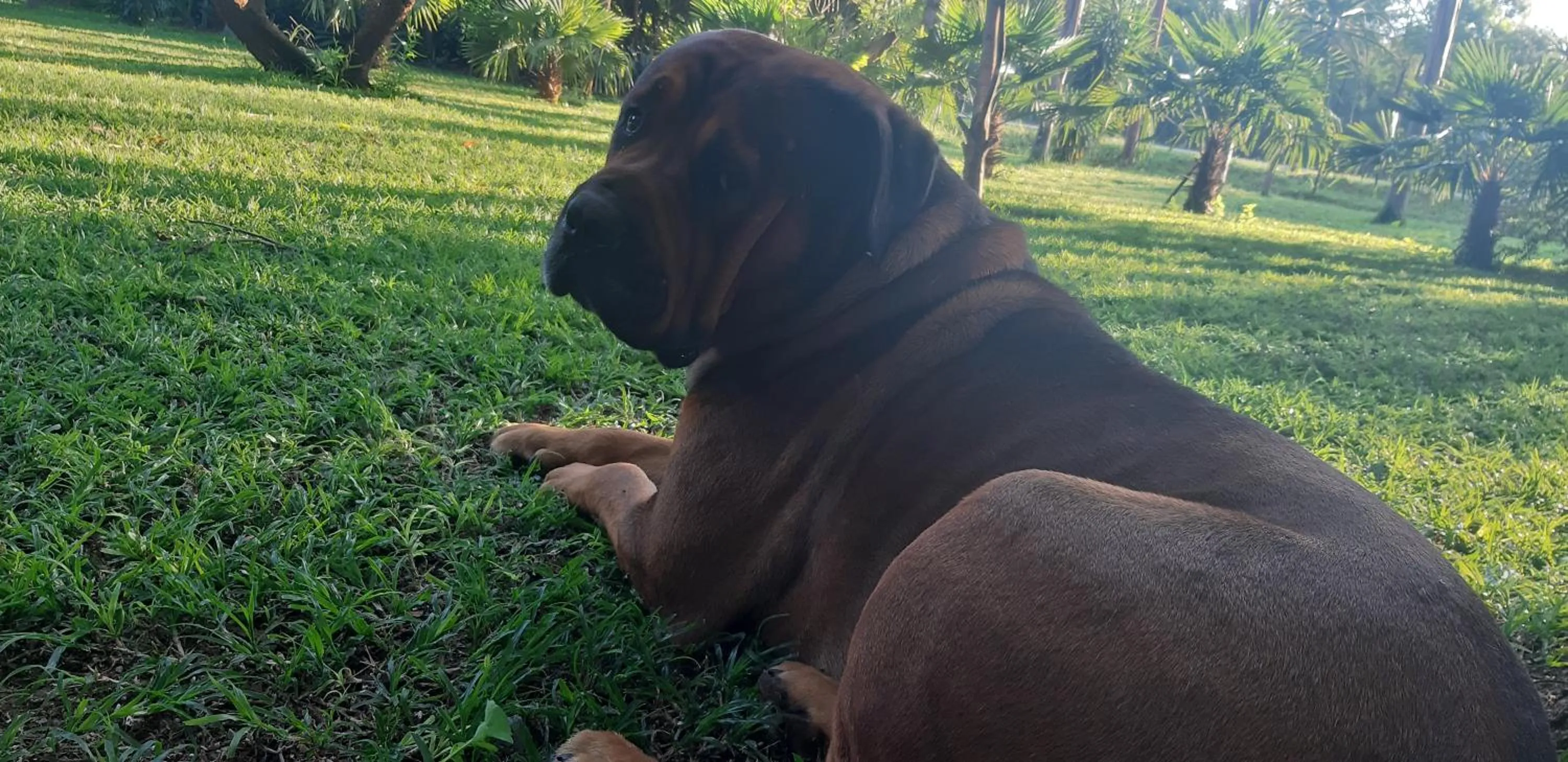 Suikerbosrant Sleep and go