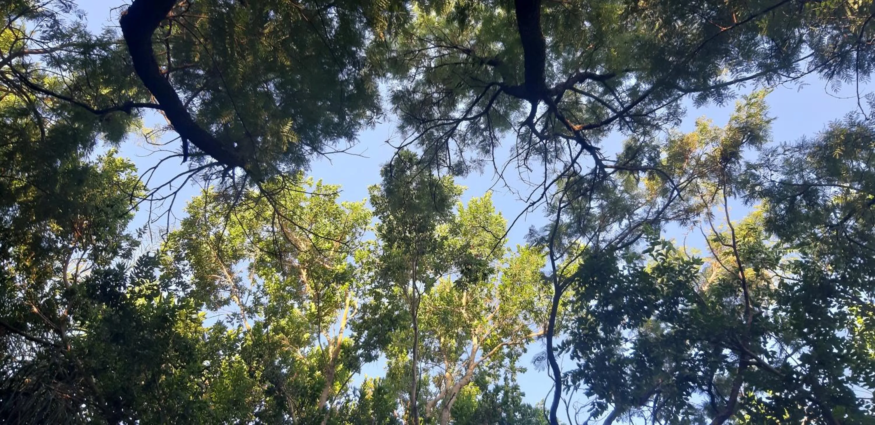 Suikerbosrant Sleep and go