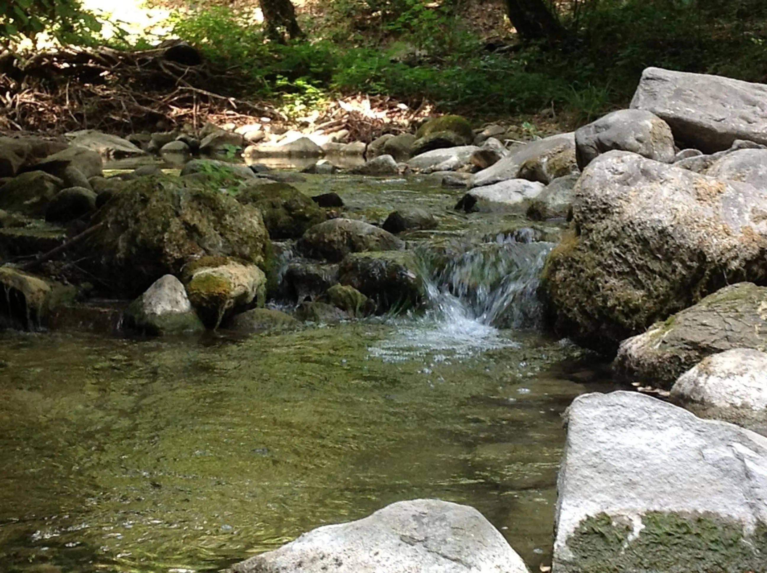 Natural landscape in Da Ronald ... A Pian Del Papa