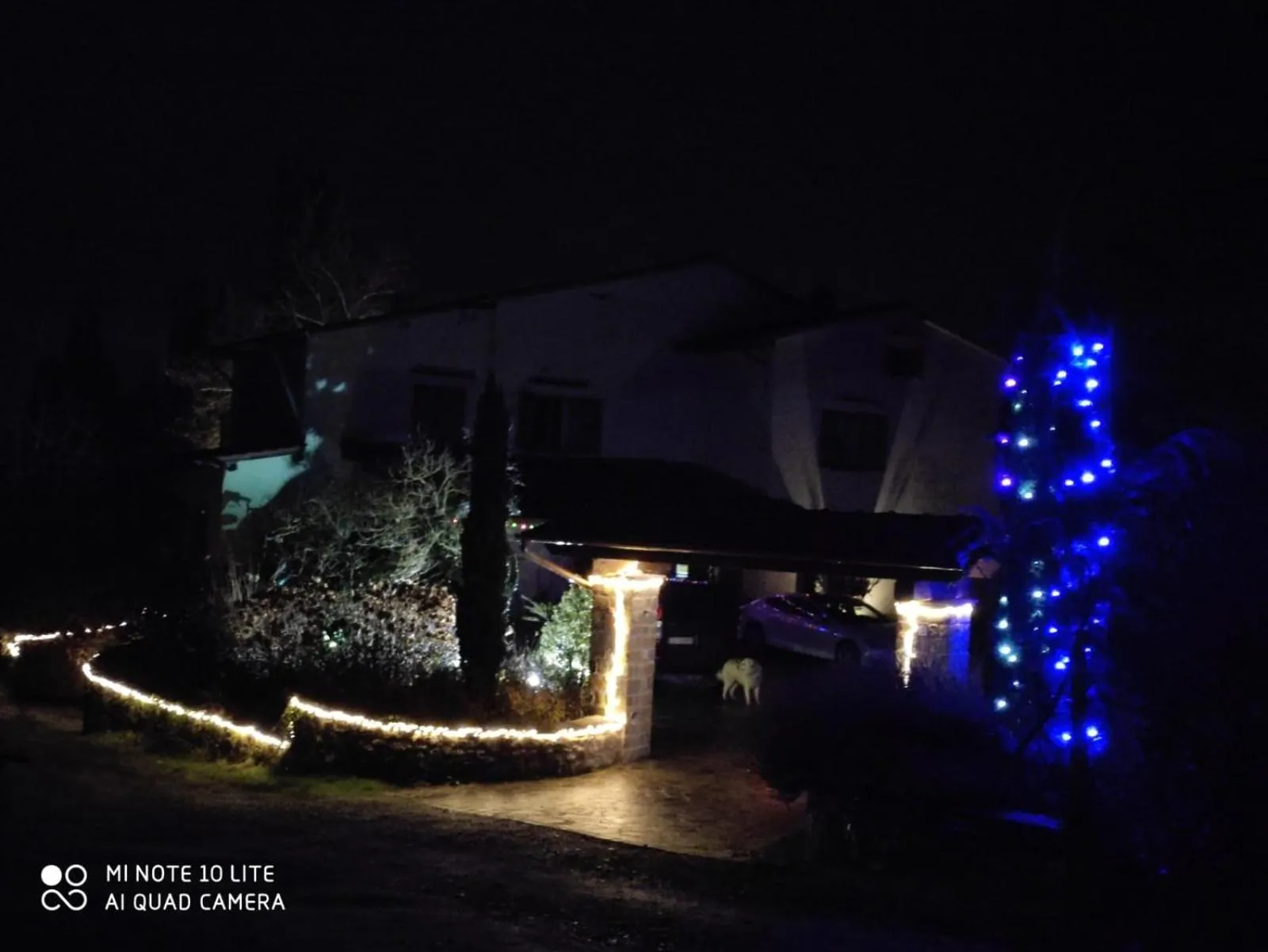 Da Ronald ... A Pian Del Papa