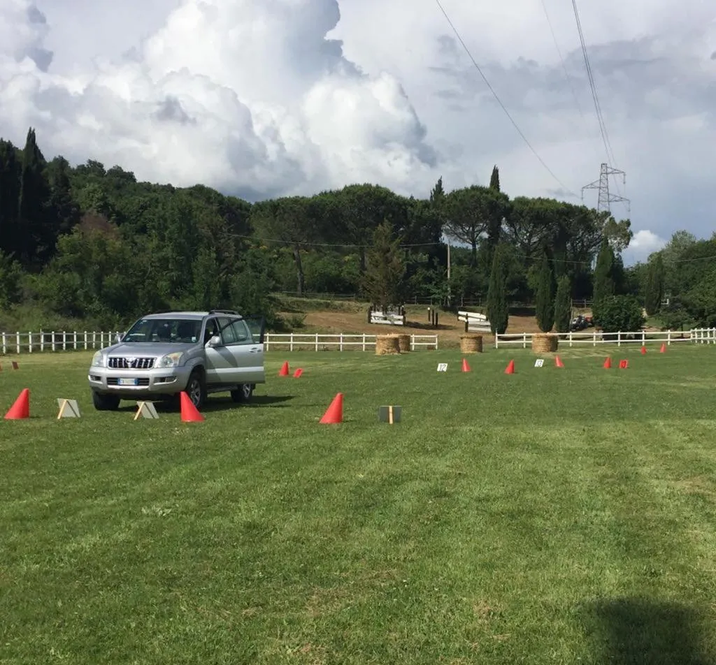 Property building in Casale Sant'Elia