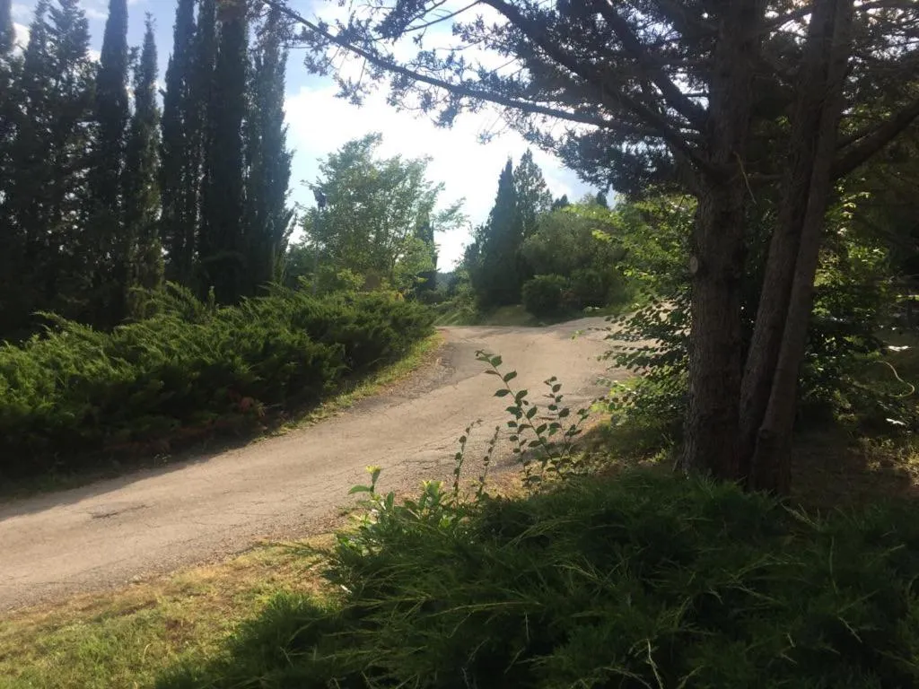 Property building in Casale Sant'Elia