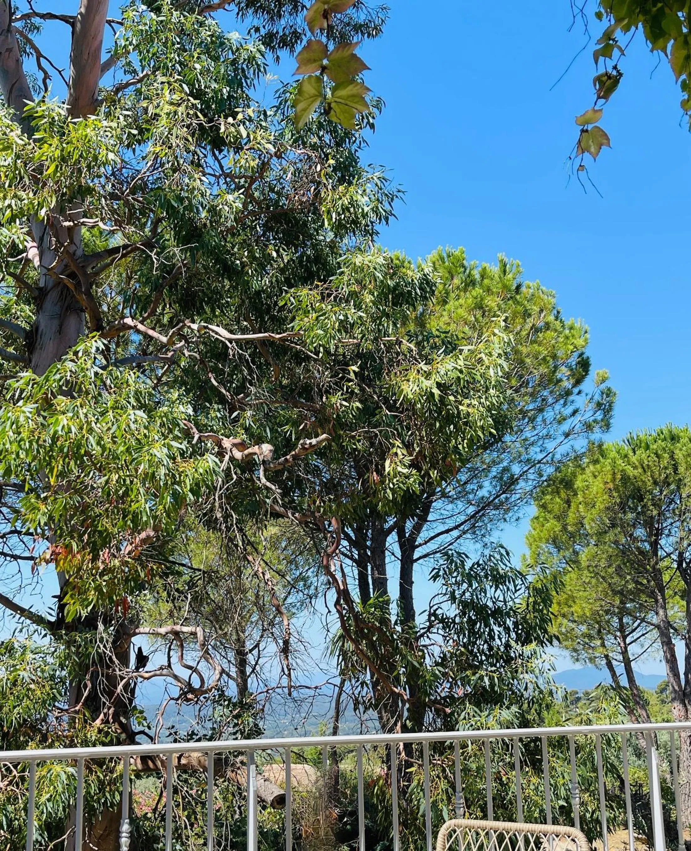 Garden view in Le Mas des Collines