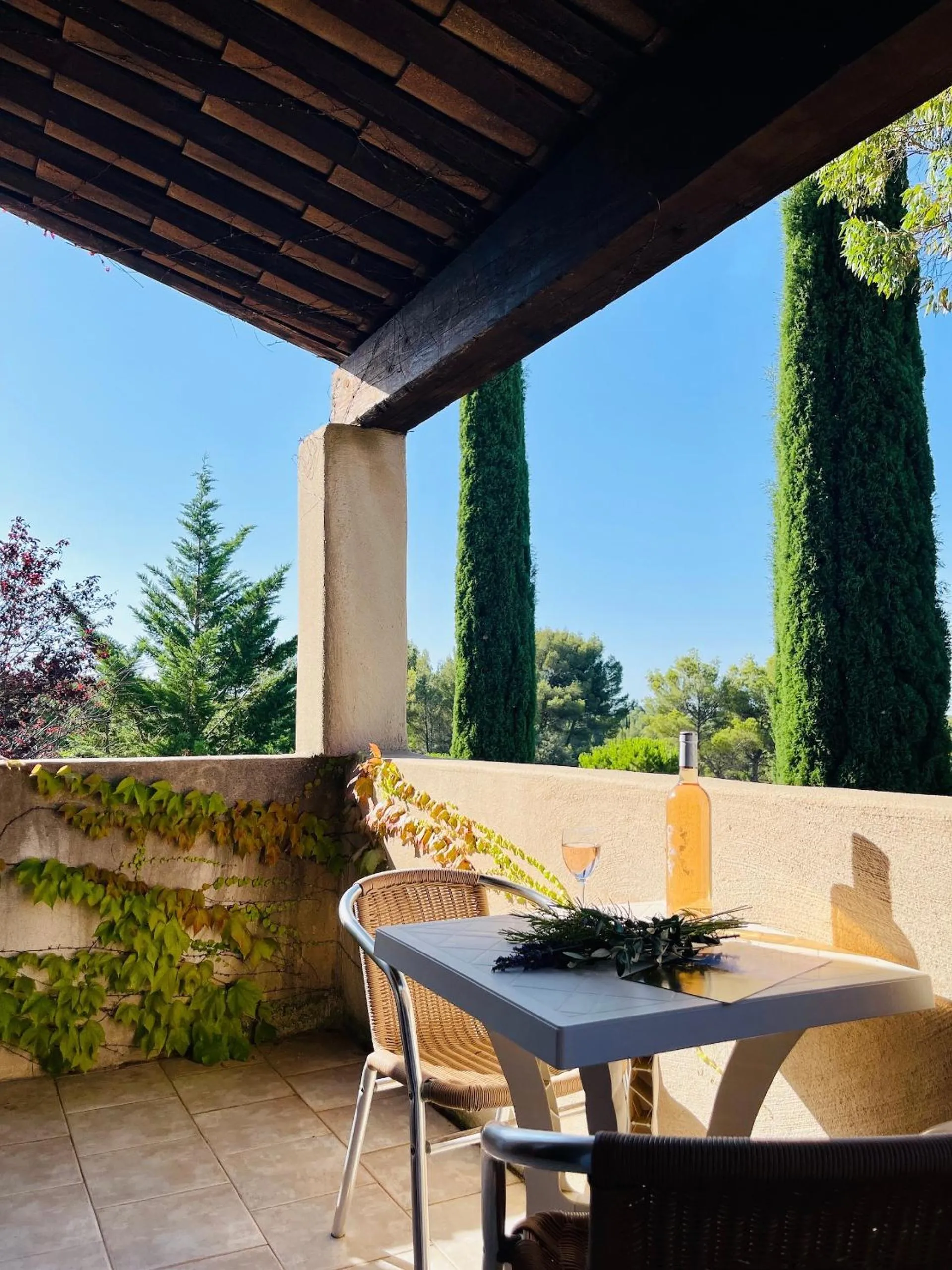 Patio in Le Mas des Collines