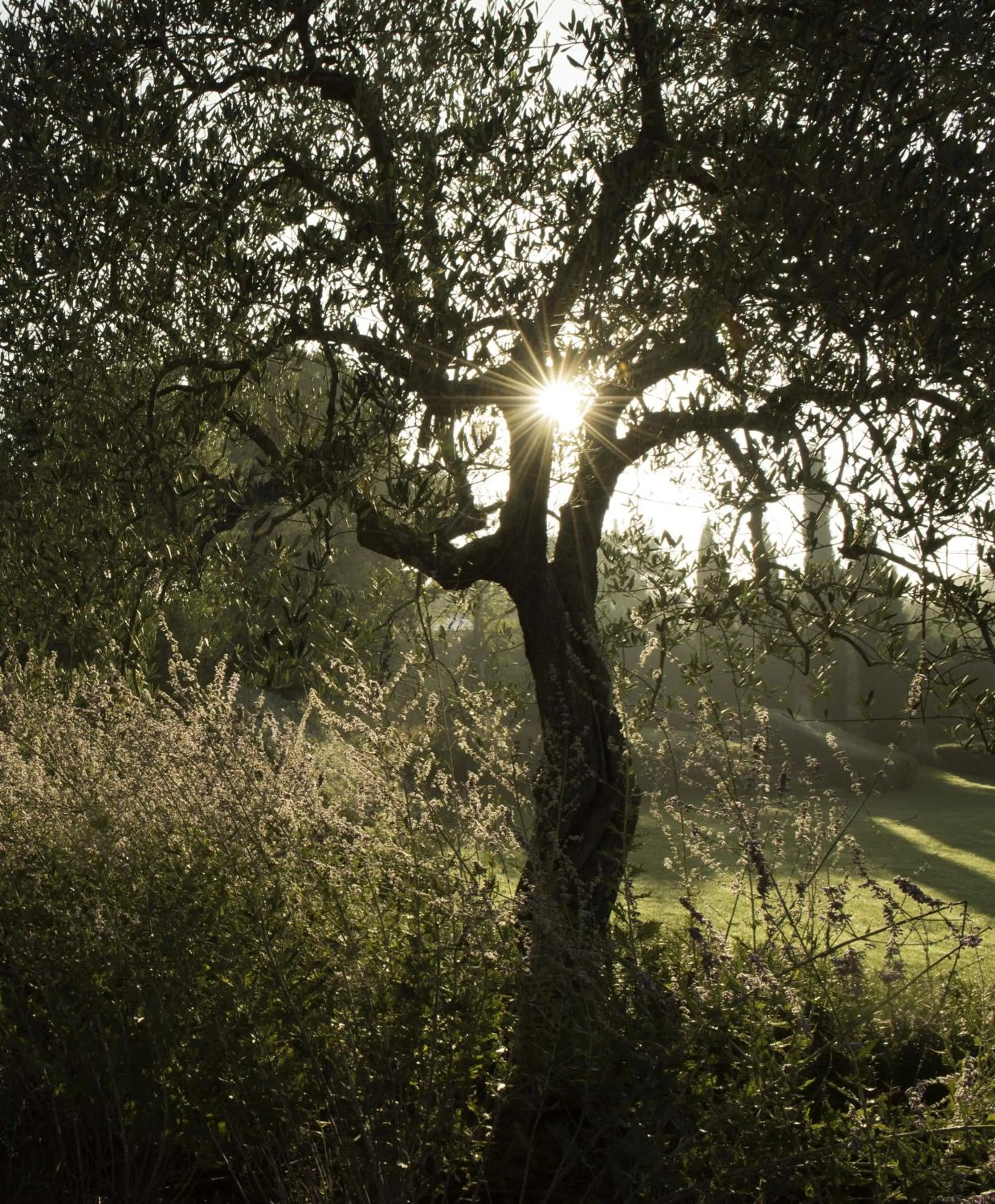 Hiking in Tenuta Santo Pietro