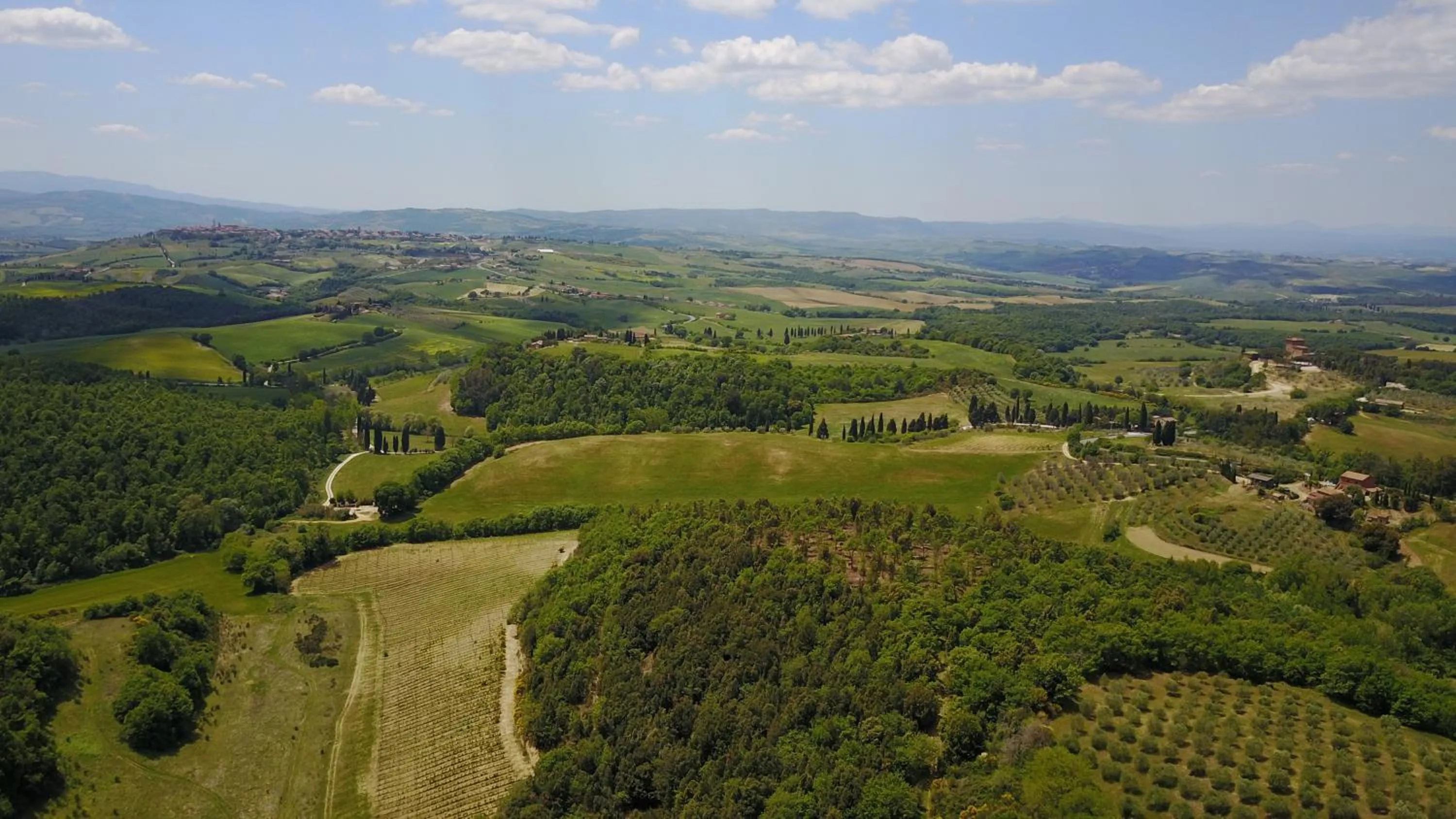 Natural landscape in Tenuta Santo Pietro