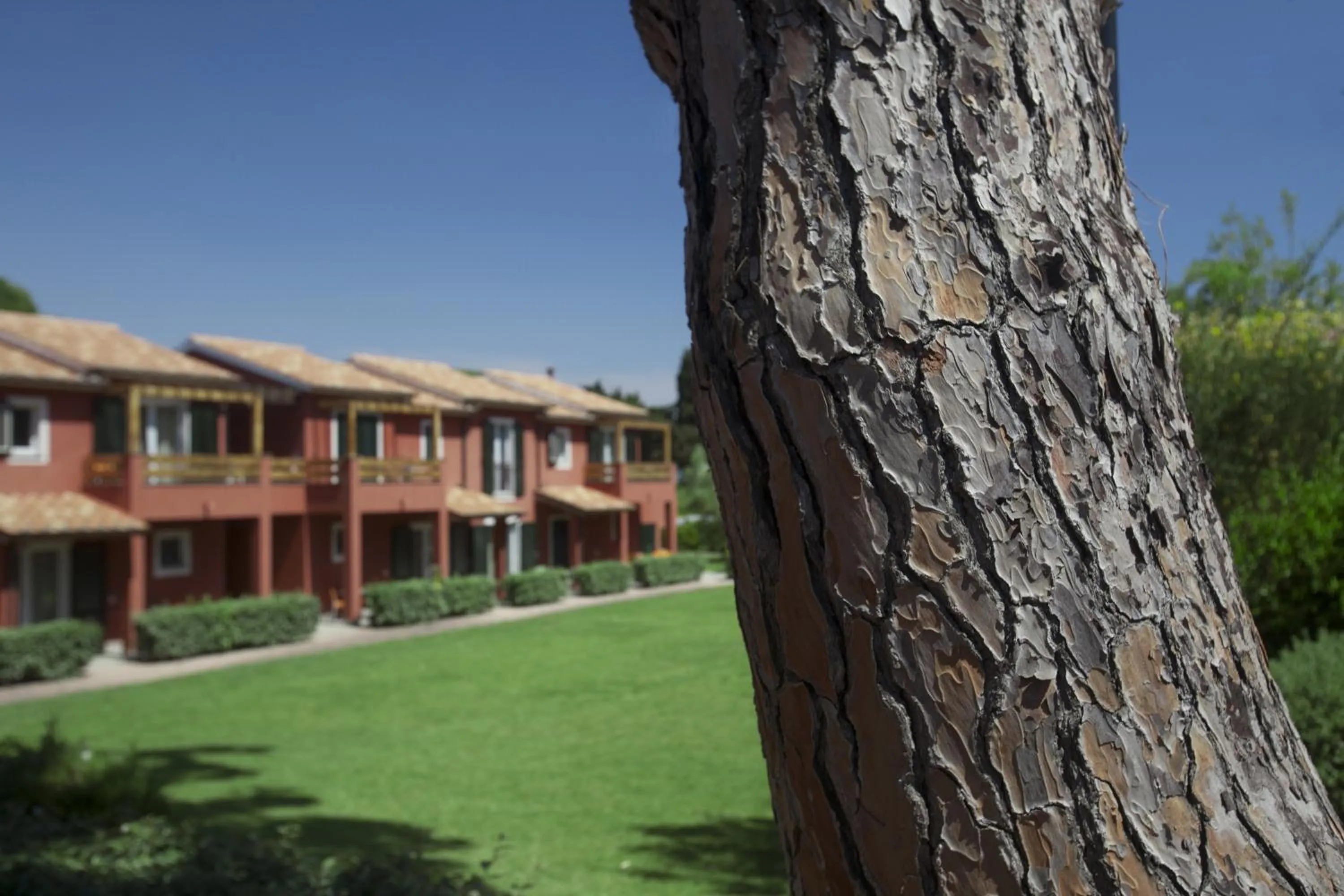 Garden in Residence Pineta