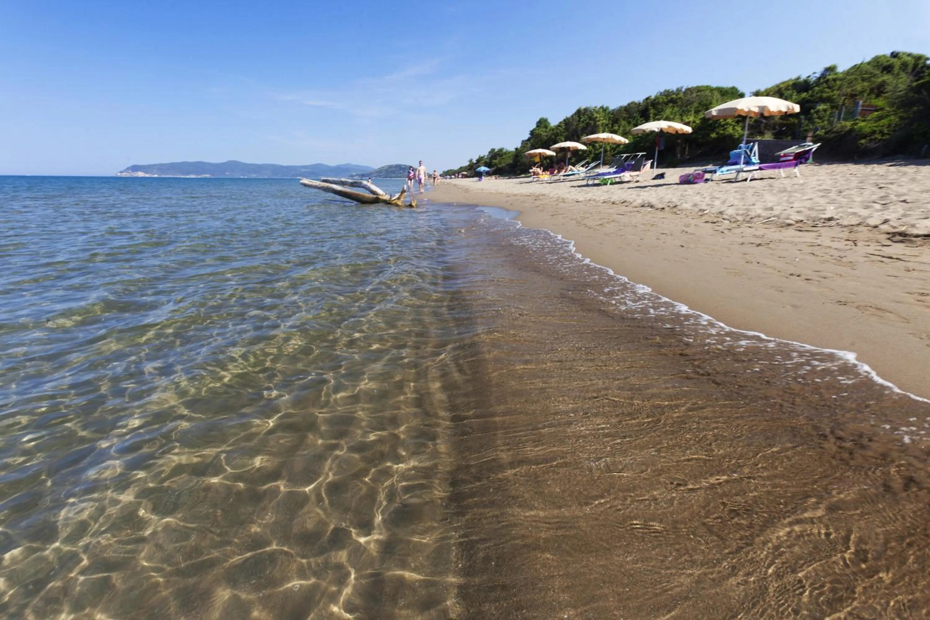 Beach in Residence Pineta