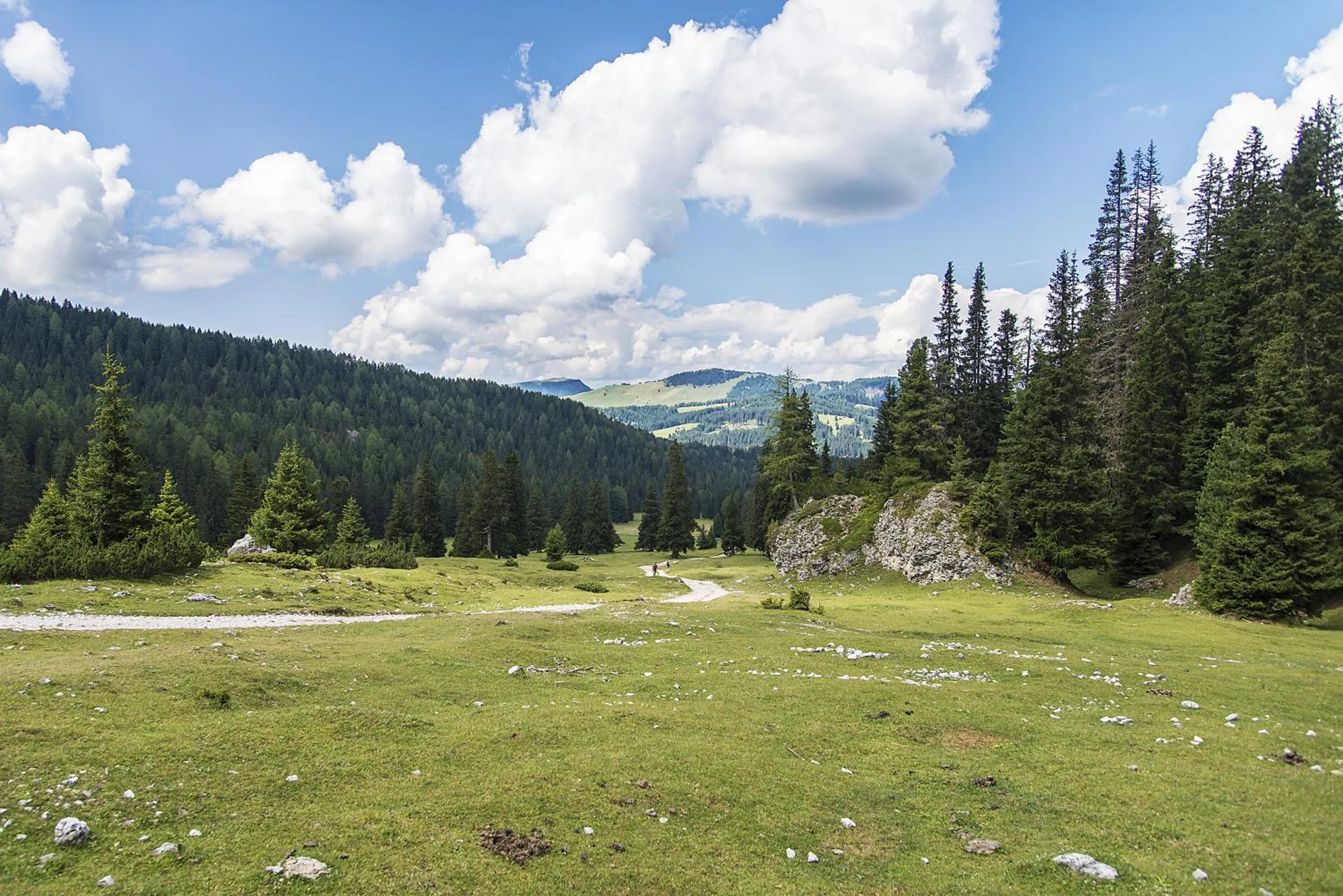 Natural landscape in Garni Hotel Geier