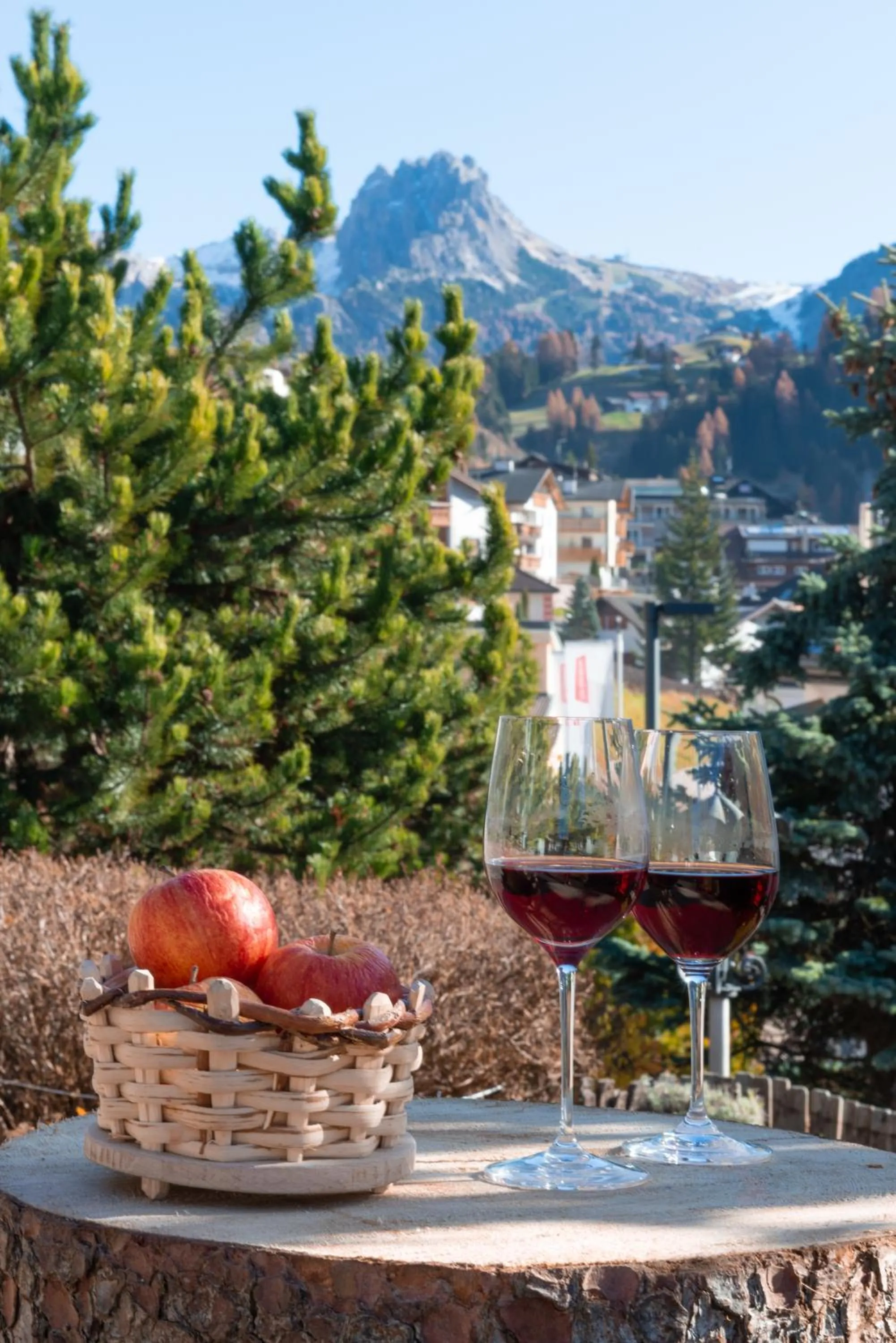Garden view in Garni Hotel Geier