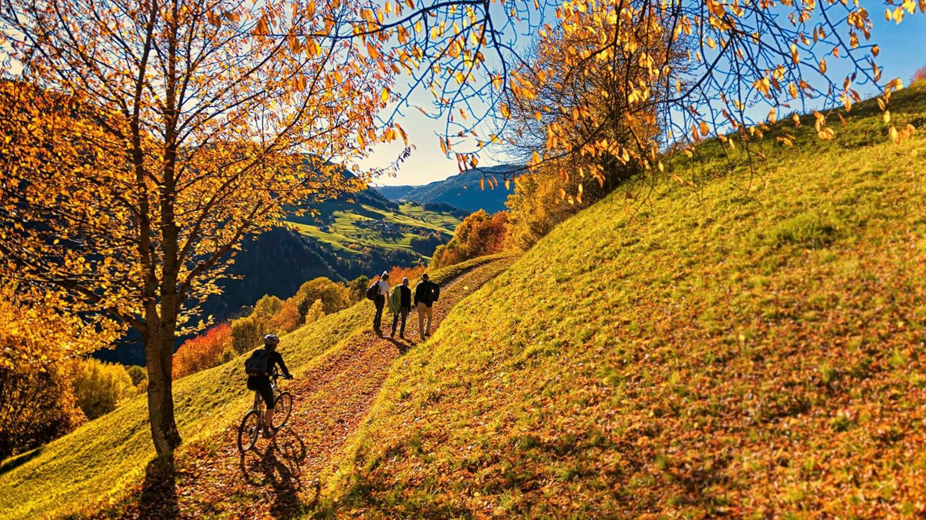 On site in Garni Hotel Geier