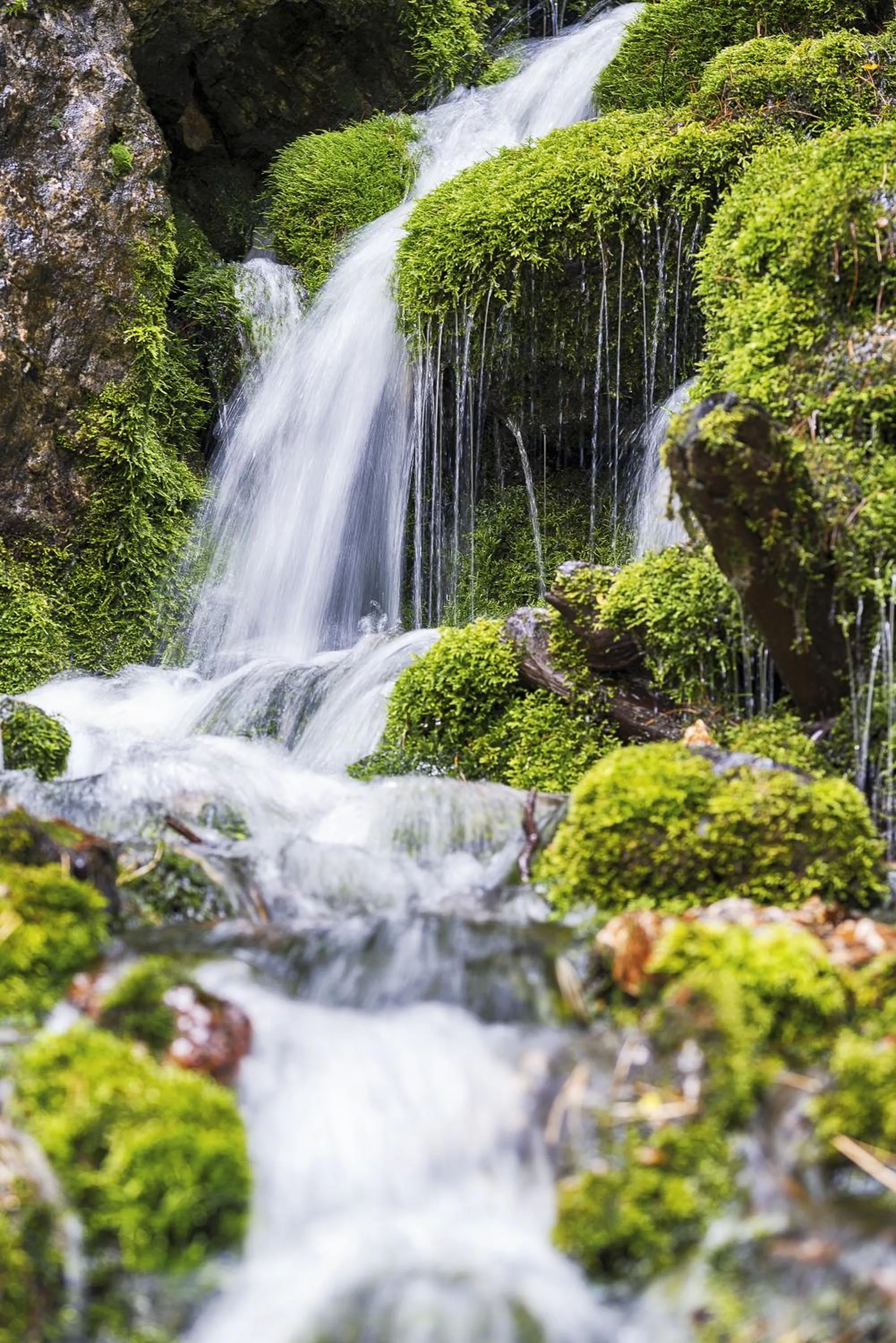 Natural landscape in Garni Hotel Geier