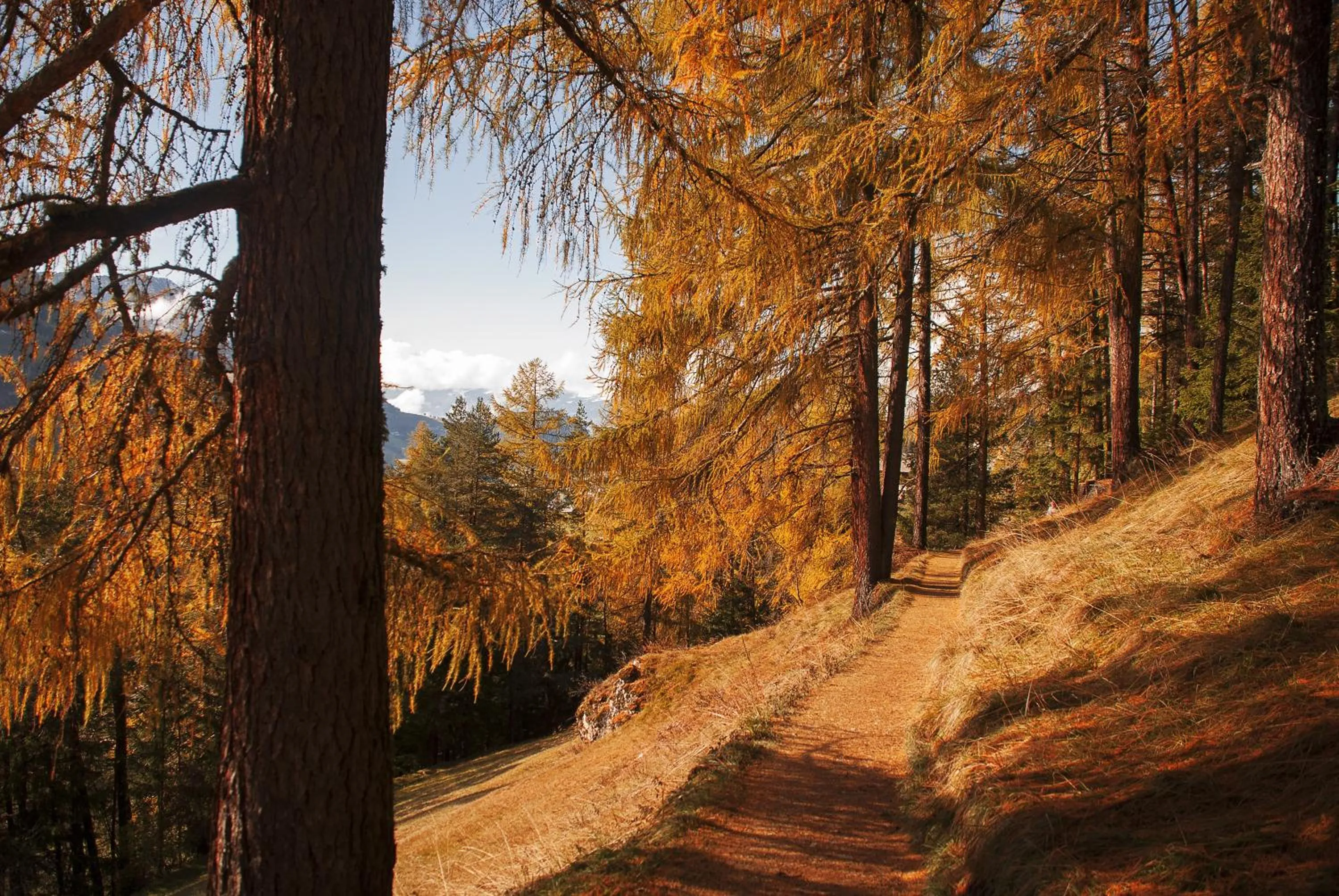 Natural landscape in Garni Hotel Geier