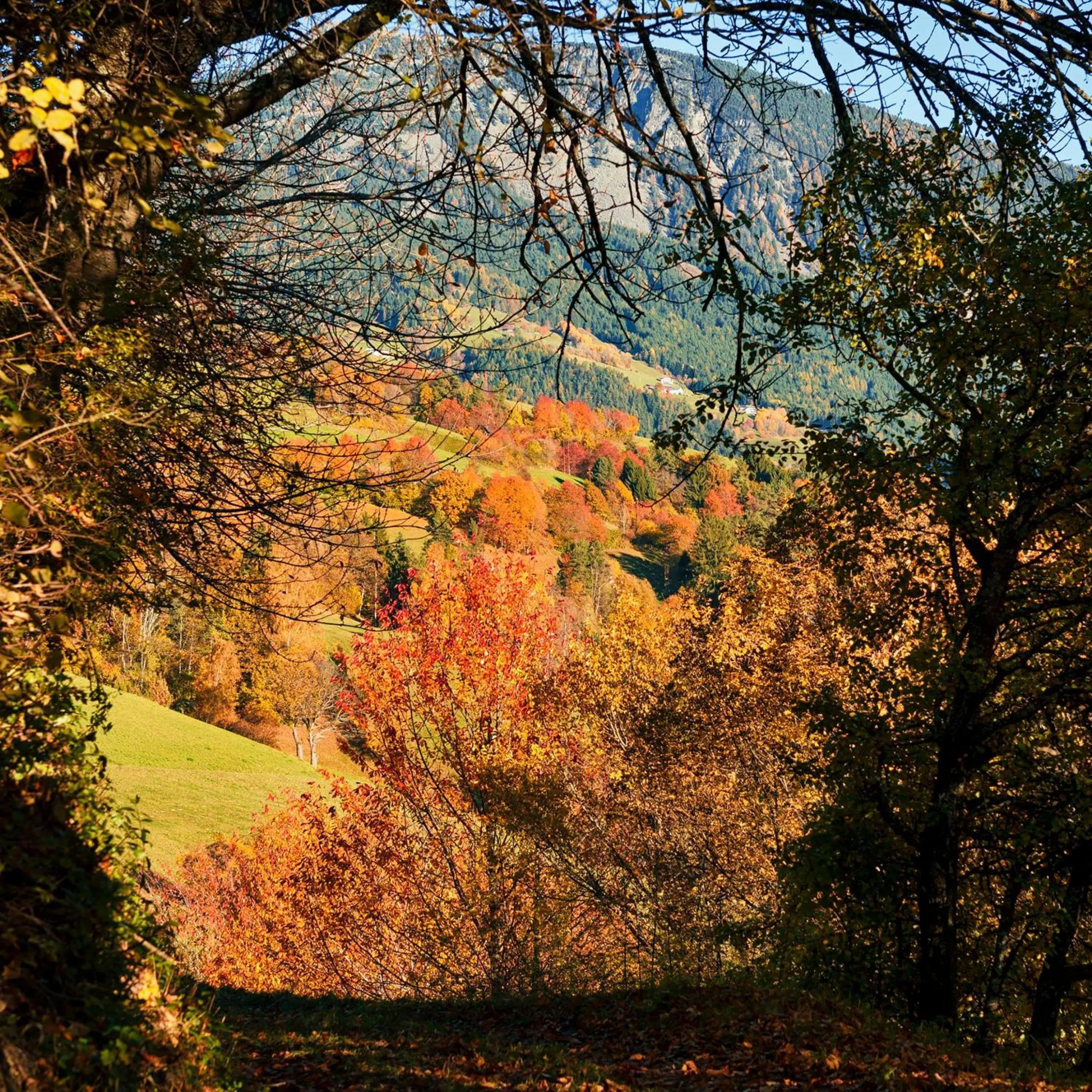 On site in Garni Hotel Geier