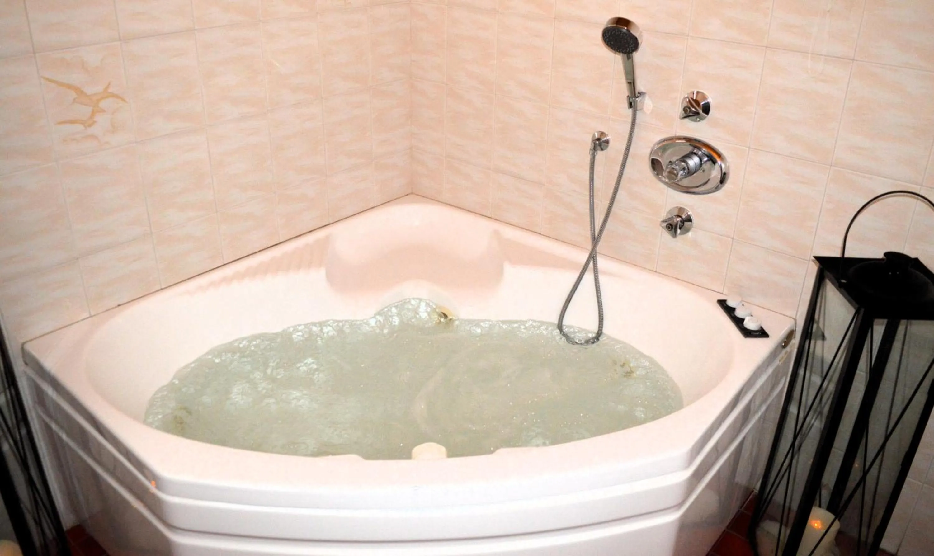 Hot Tub in Hotel Stella Alpina