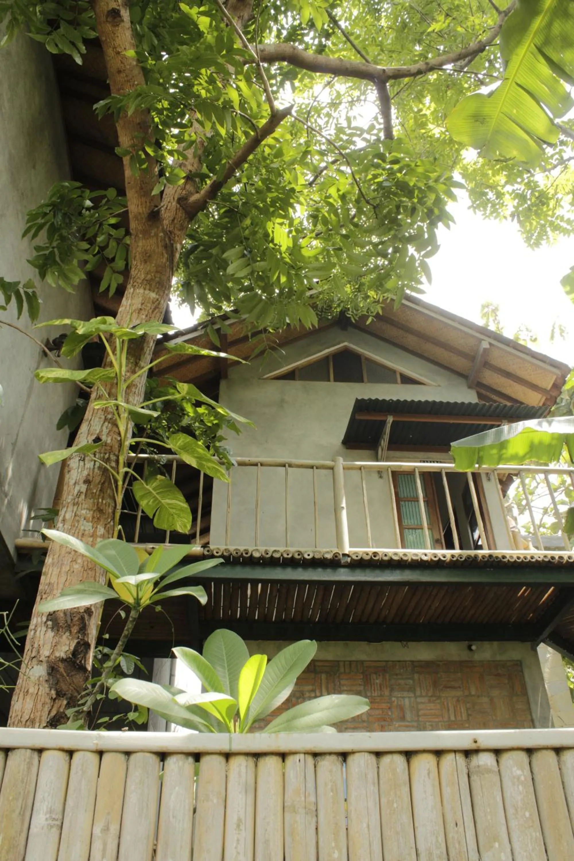 Property building in Omah Kebon Nitiprayan