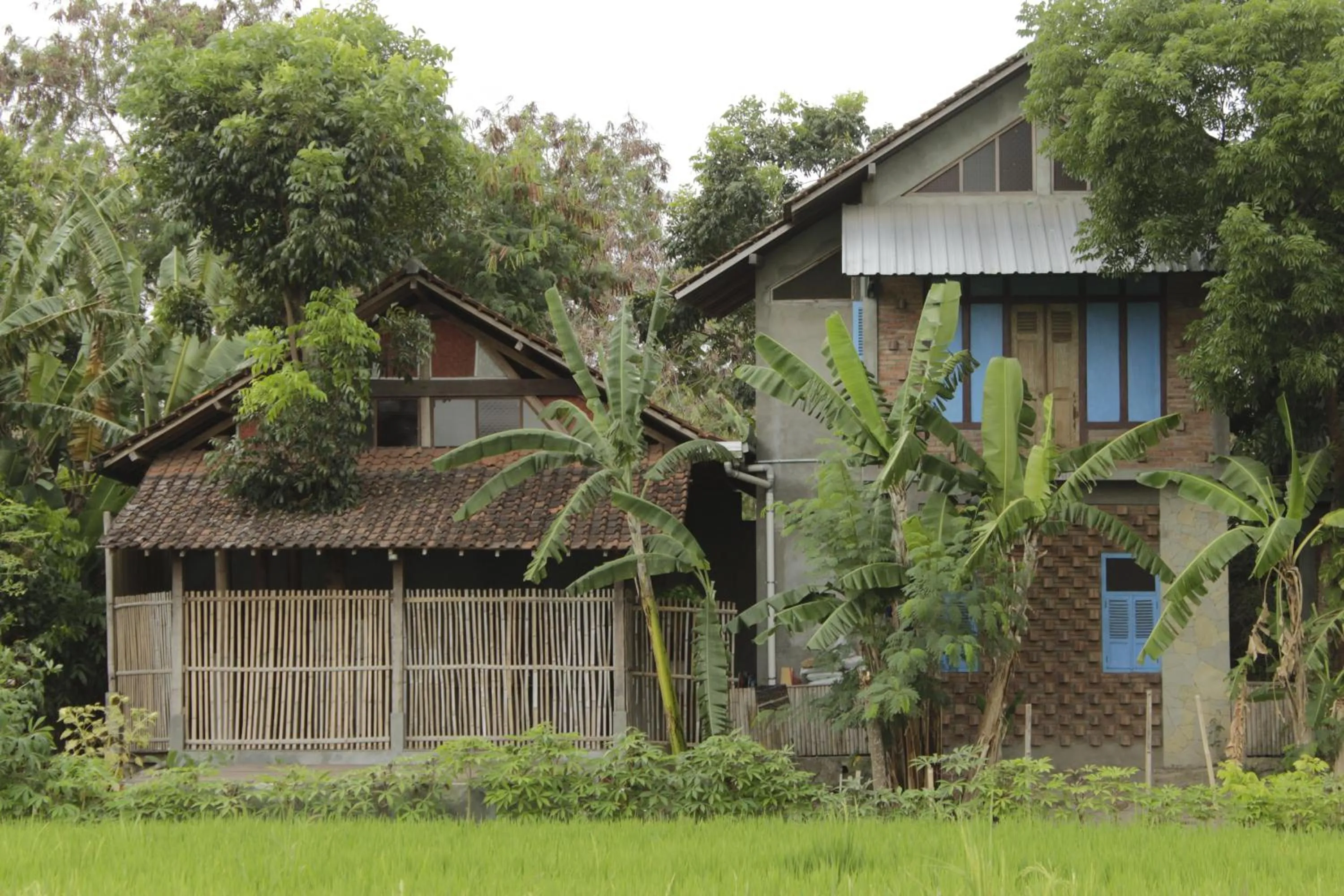 Property building in Omah Kebon Nitiprayan