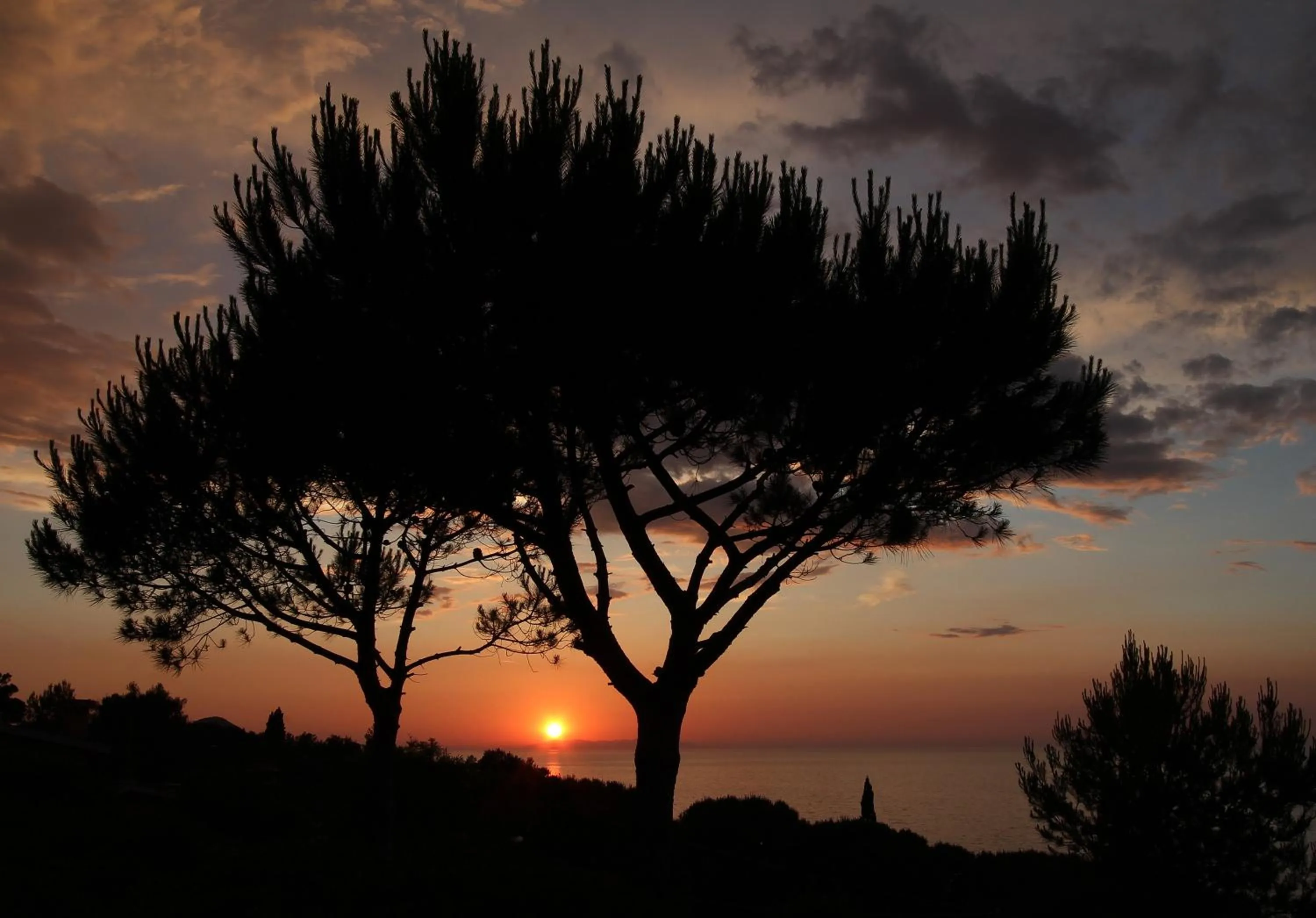 View (from property/room) in Belvedere Residenza Mediterranea