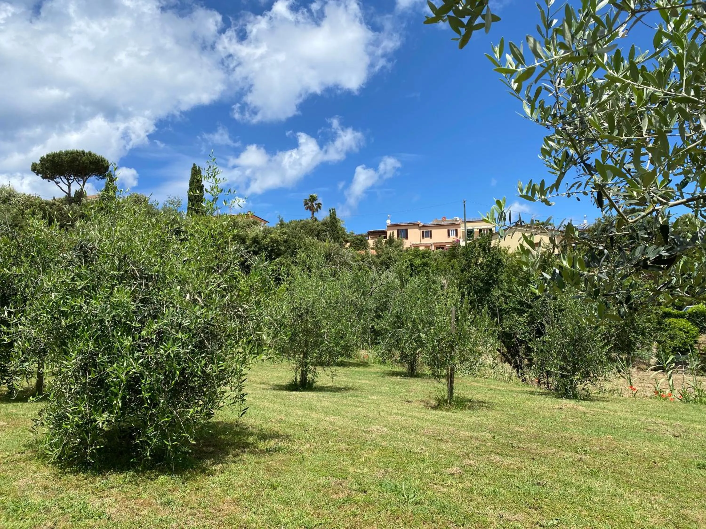 Belvedere Residenza Mediterranea