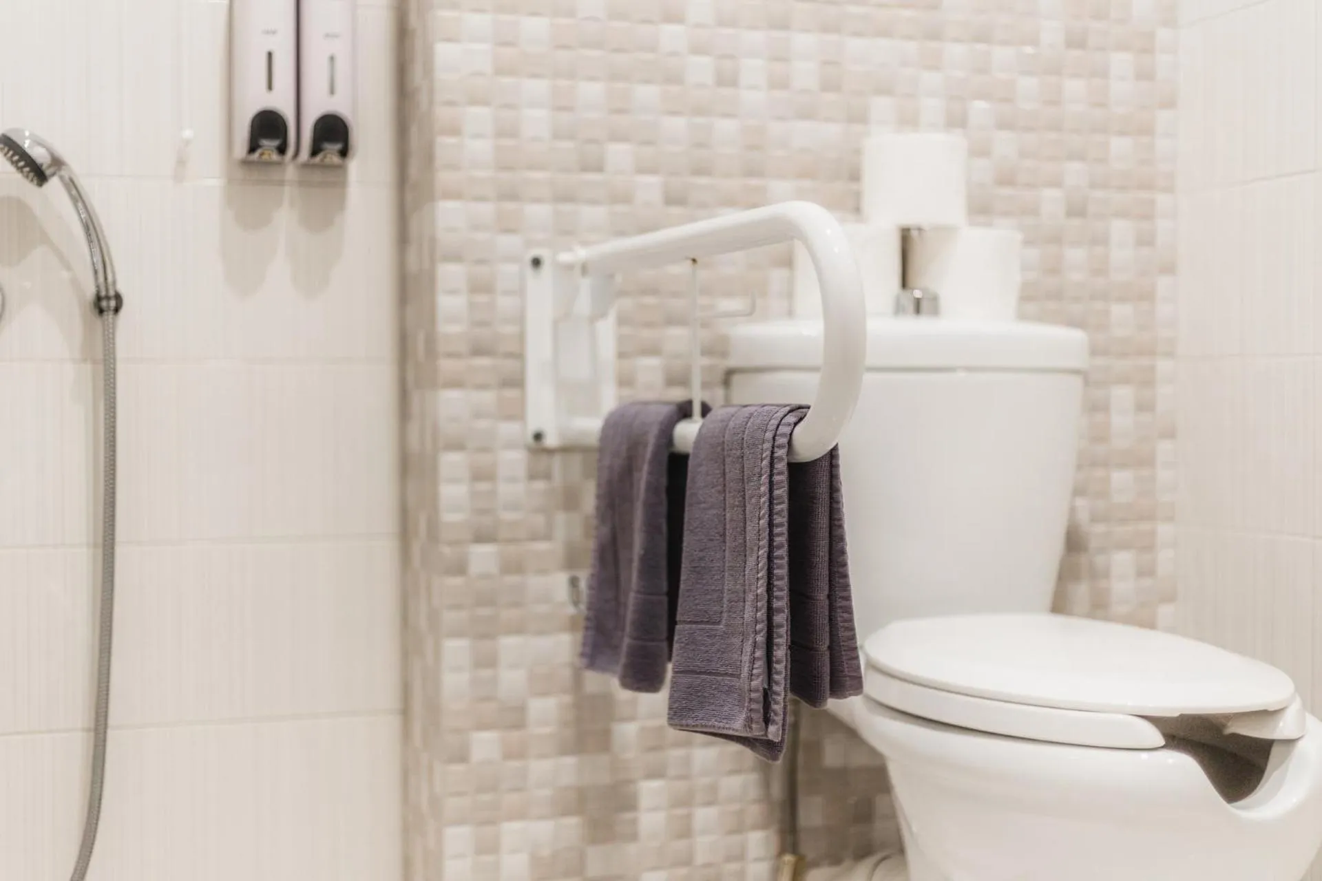 Facility for disabled guests in Infinity Hotel Gytheio