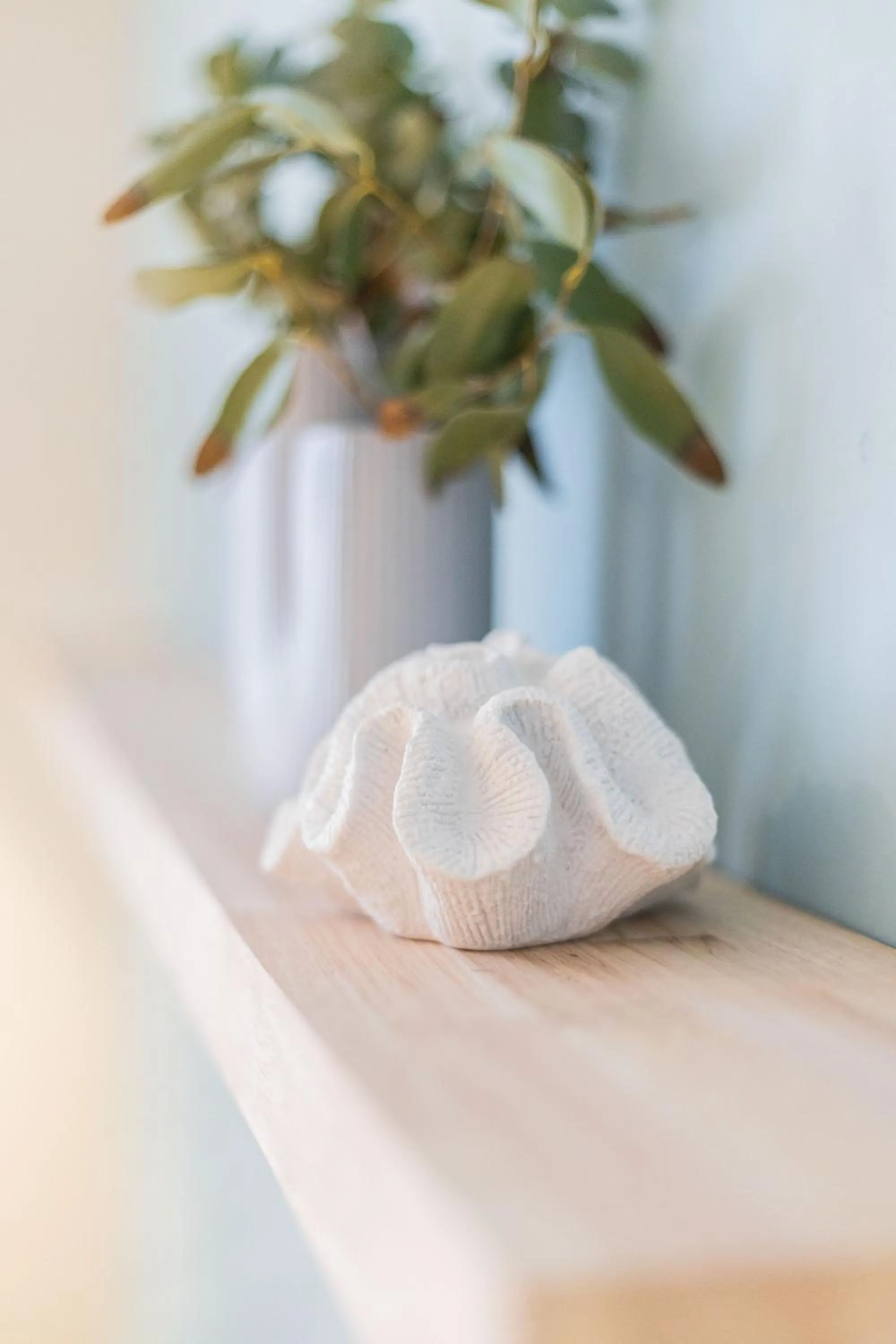 Decorative detail in Hotel José