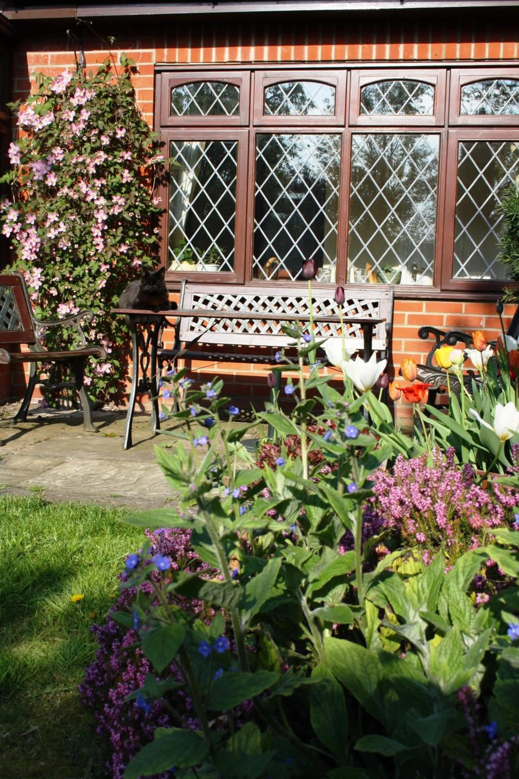 Garden in Toothbrush Rooms at Lattice Lodge - Guest Kitchen & EV Recharging