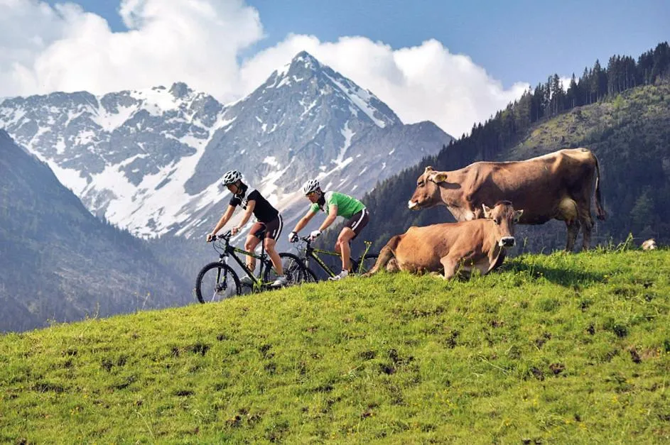 Activities in Panoramahotel Oberjoch