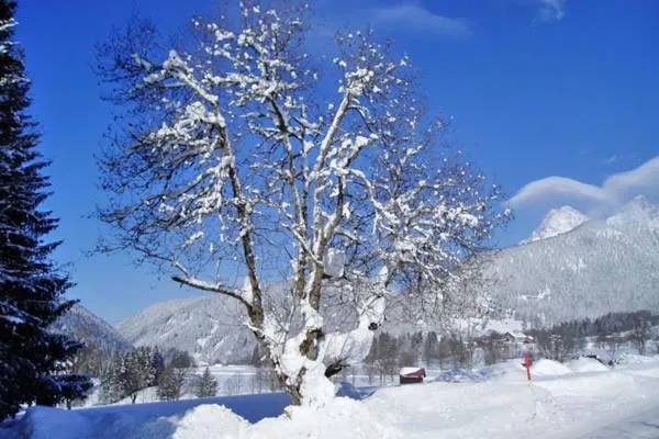 Area and facilities in Hotel Stockerwirt