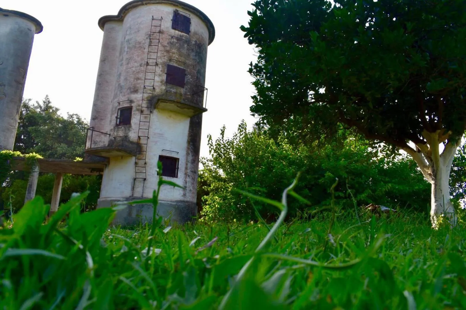 Garden in Decri resort
