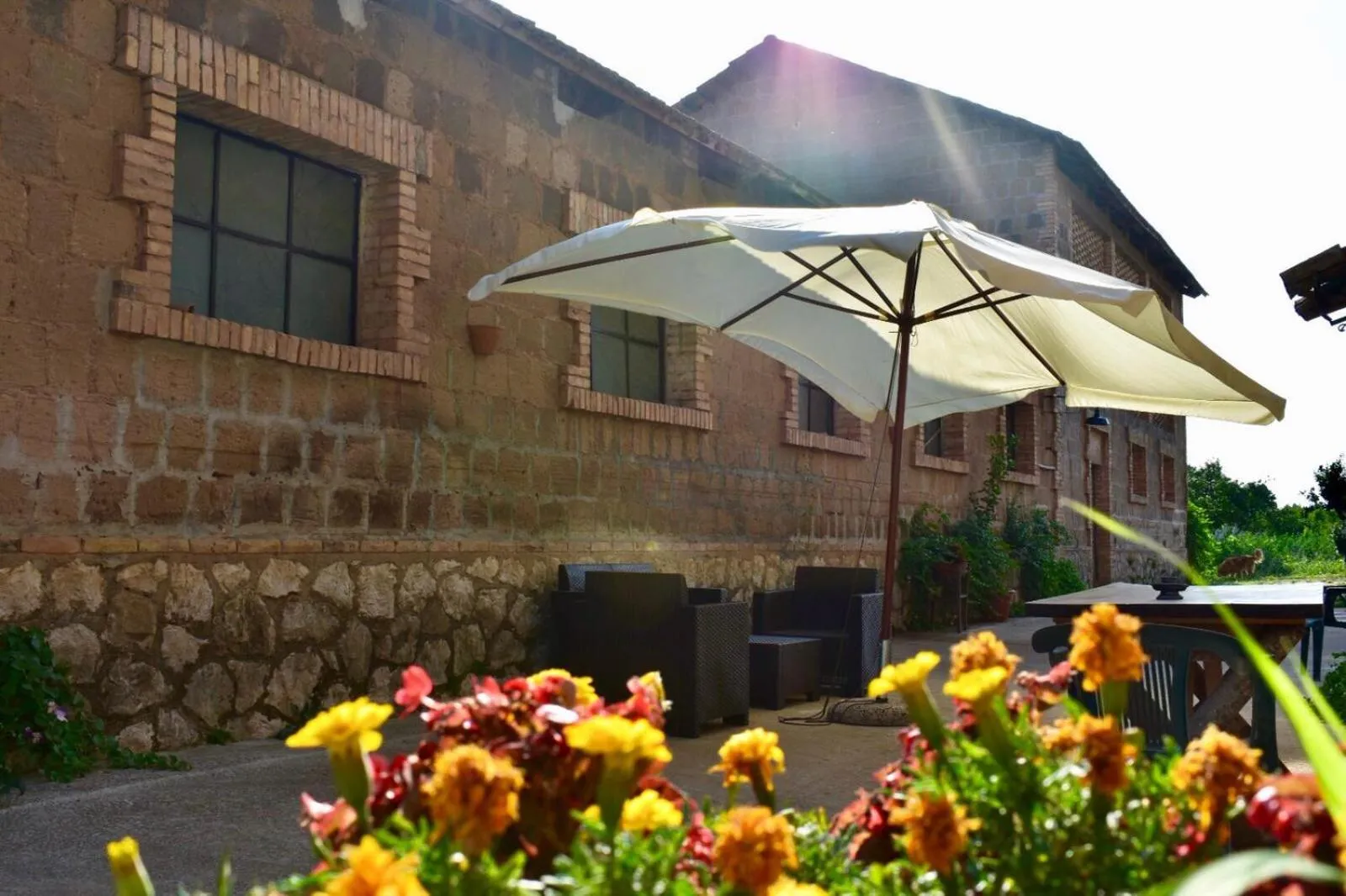 Floor plan in Decri resort