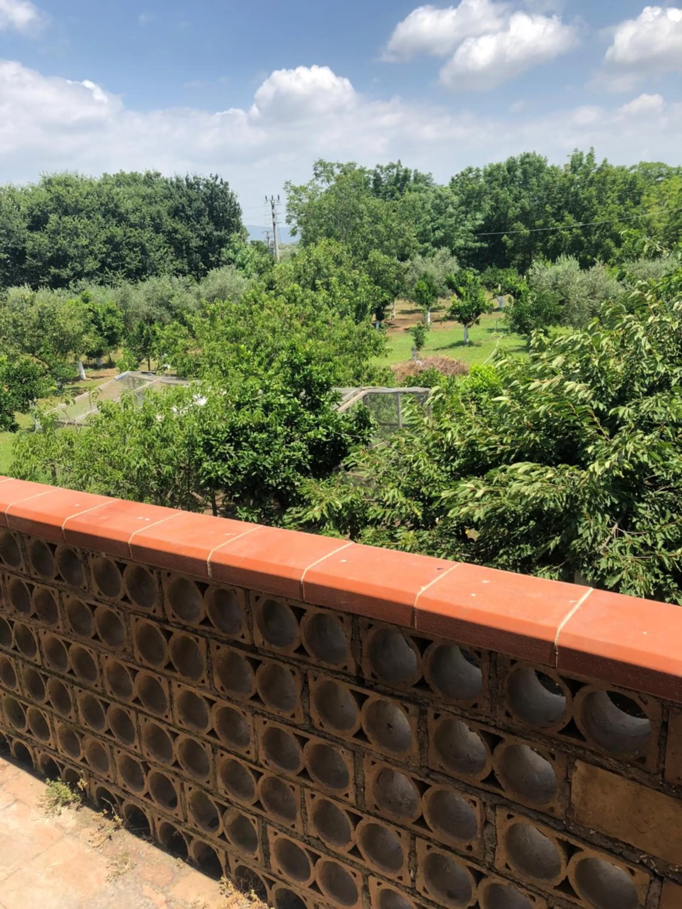Balcony/Terrace in Decri resort