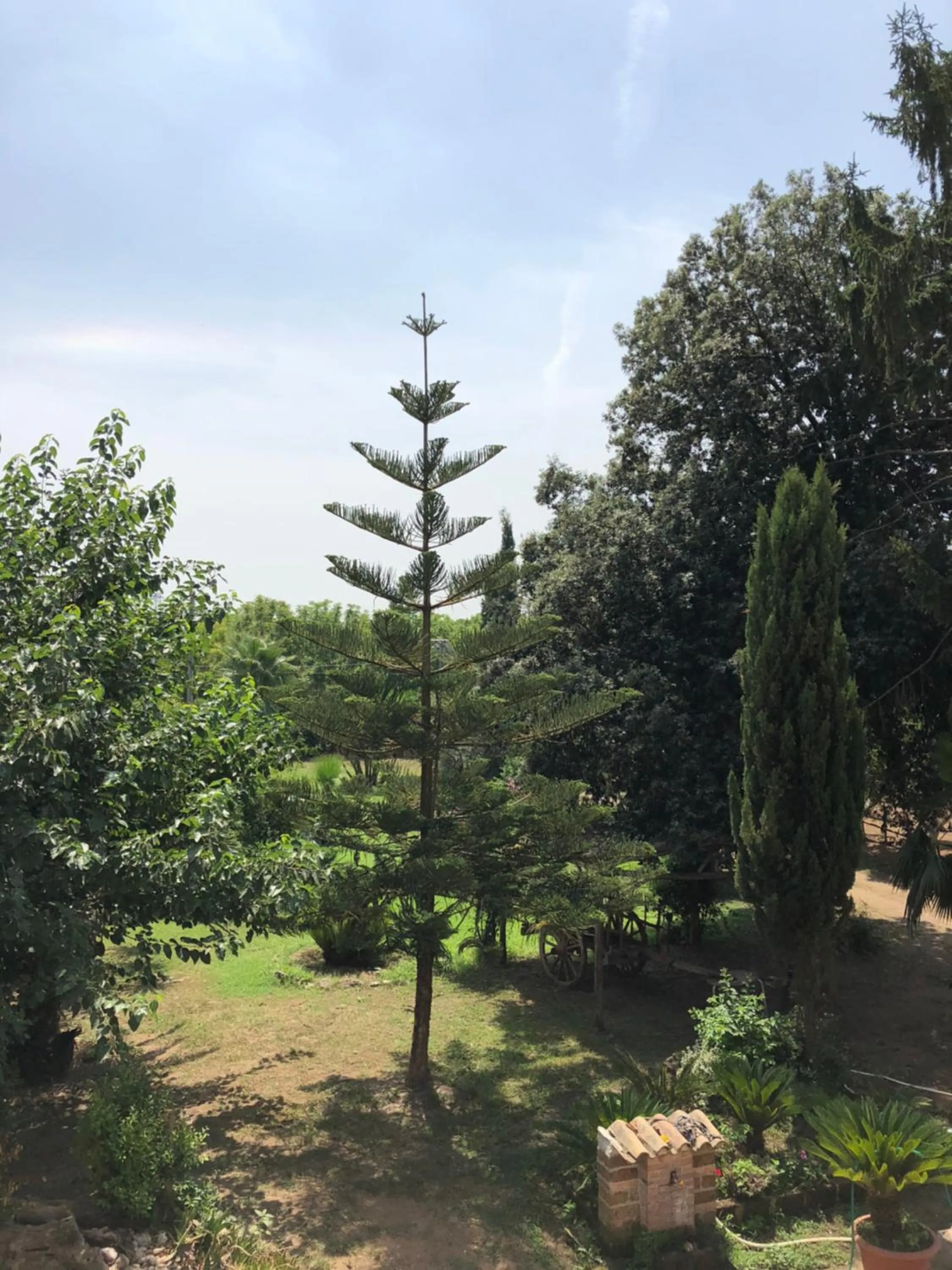 View (from property/room) in Decri resort