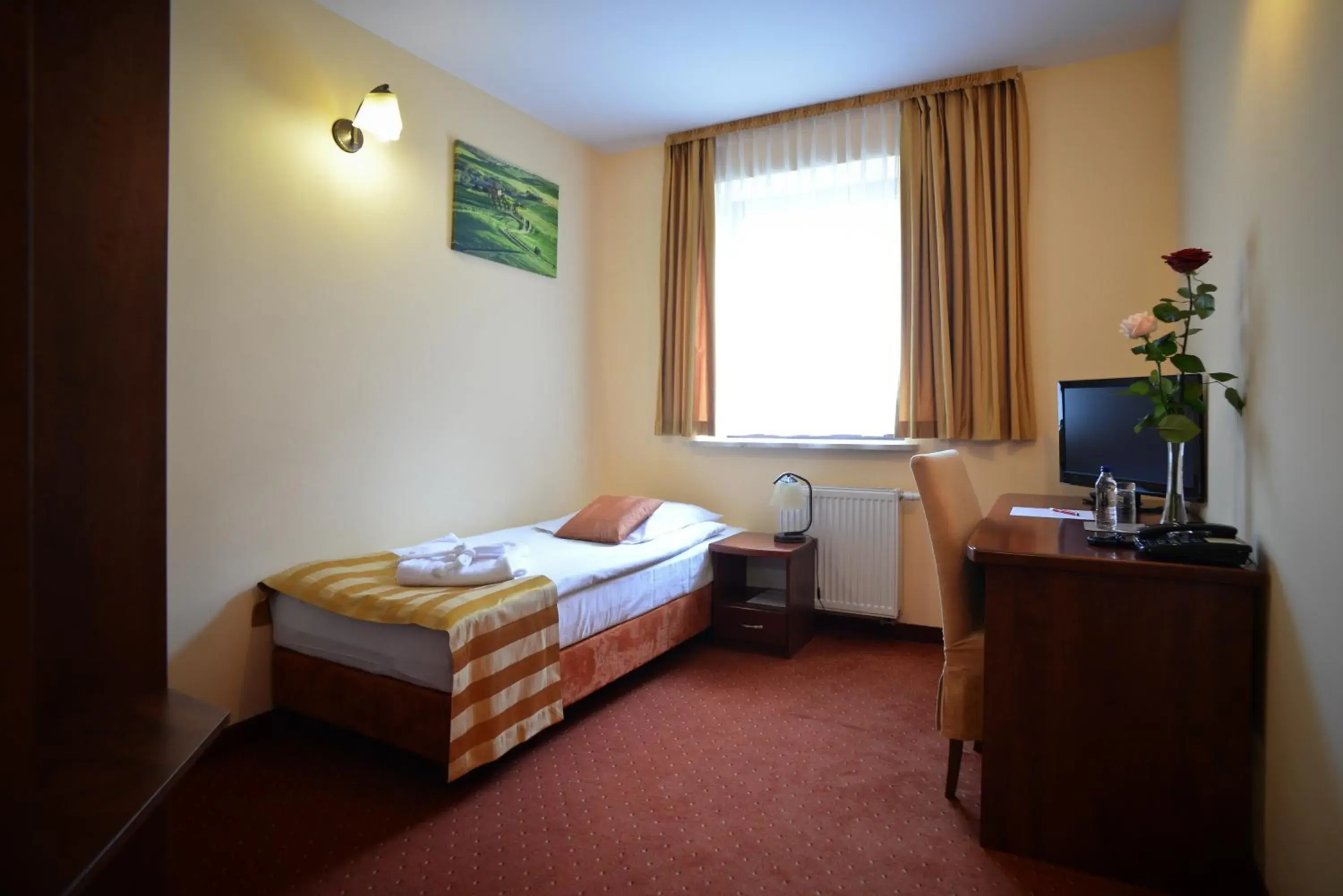 Single Room in Hotel Venus Single Room in Hotel Venus