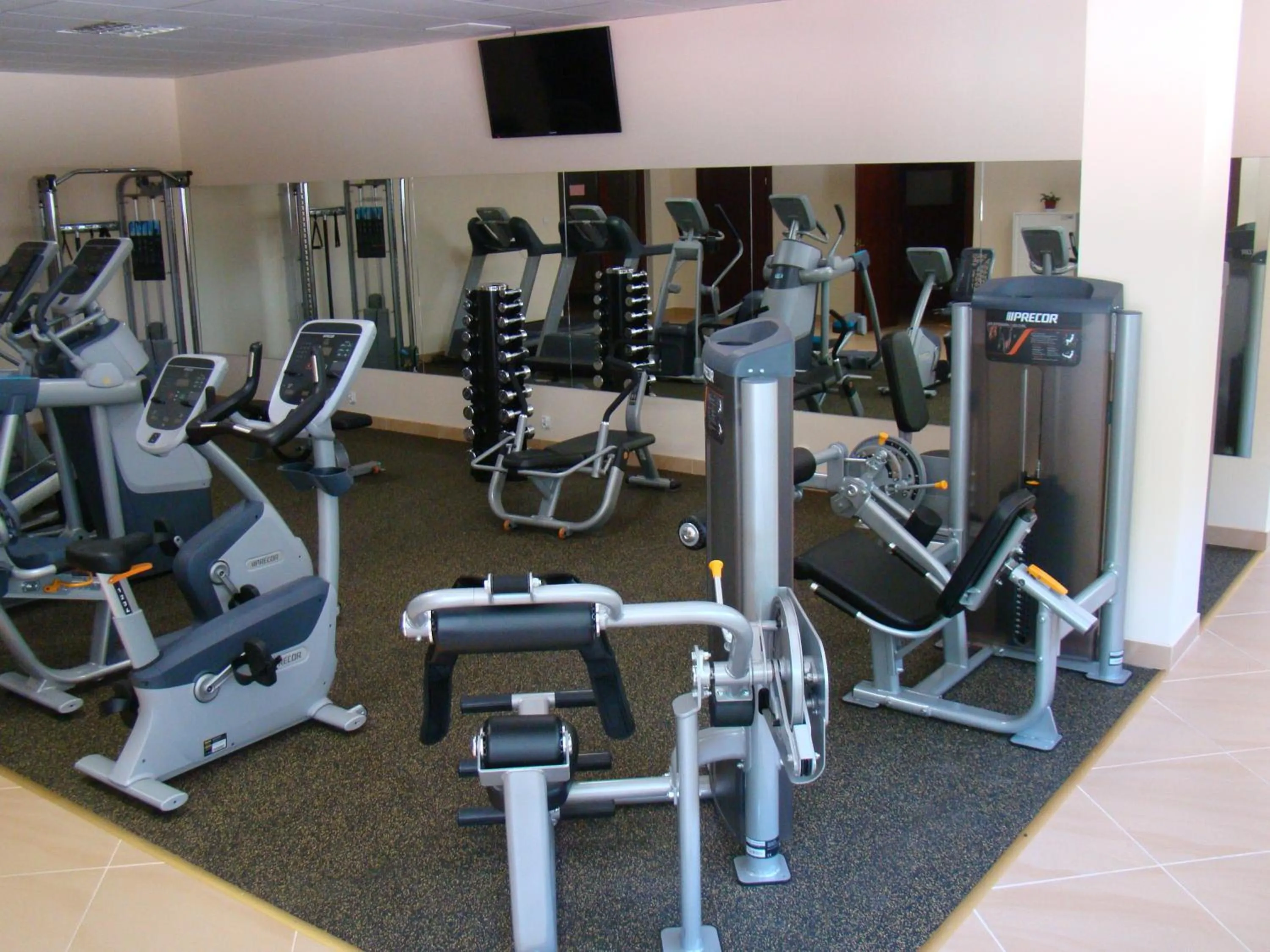 Activities in Hotel Venus