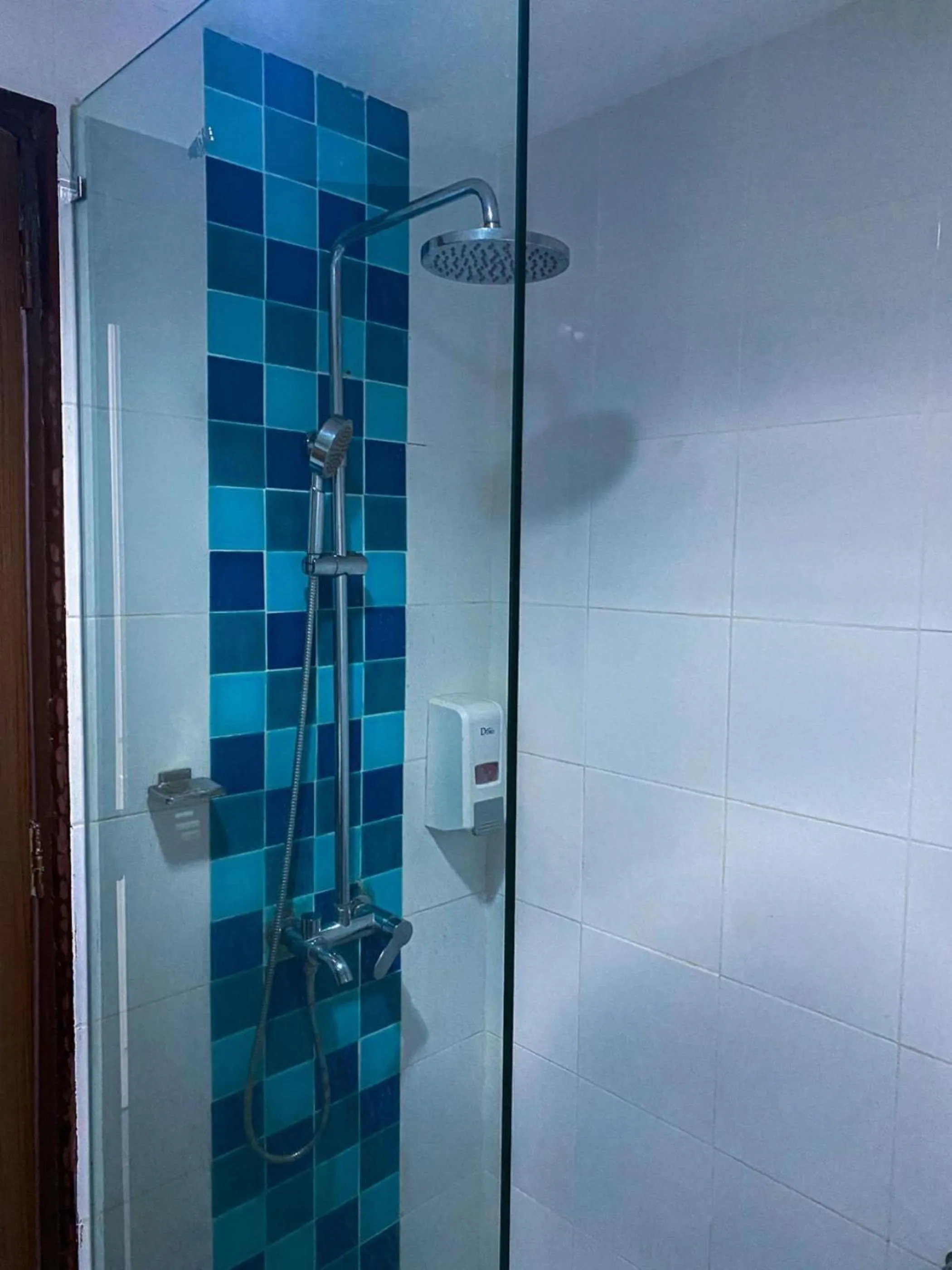 Shower in Bella Vista Express Hotel