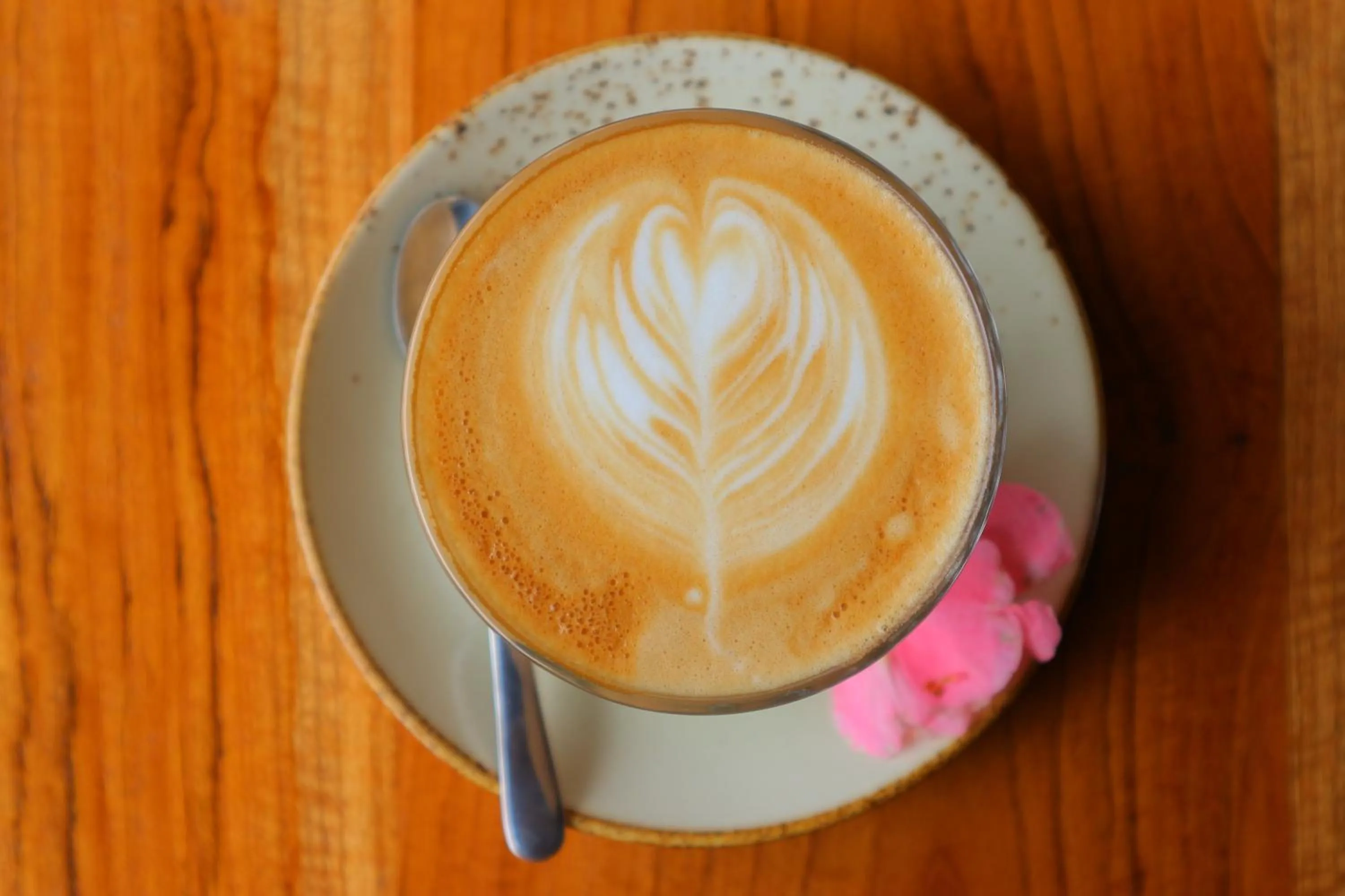 Food and drinks in Seno Guesthouse & Cafe