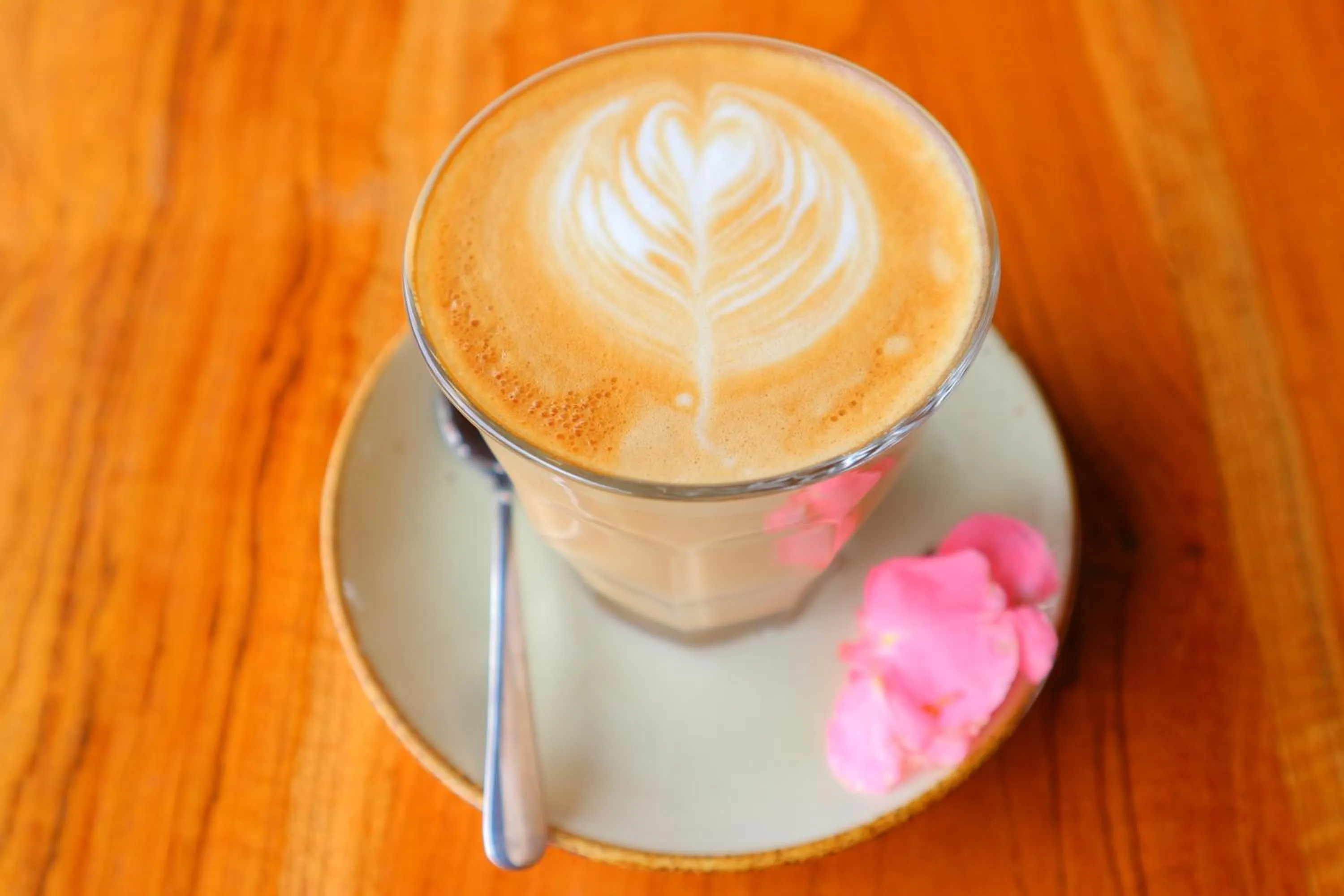 Drinks in Seno Guesthouse & Cafe