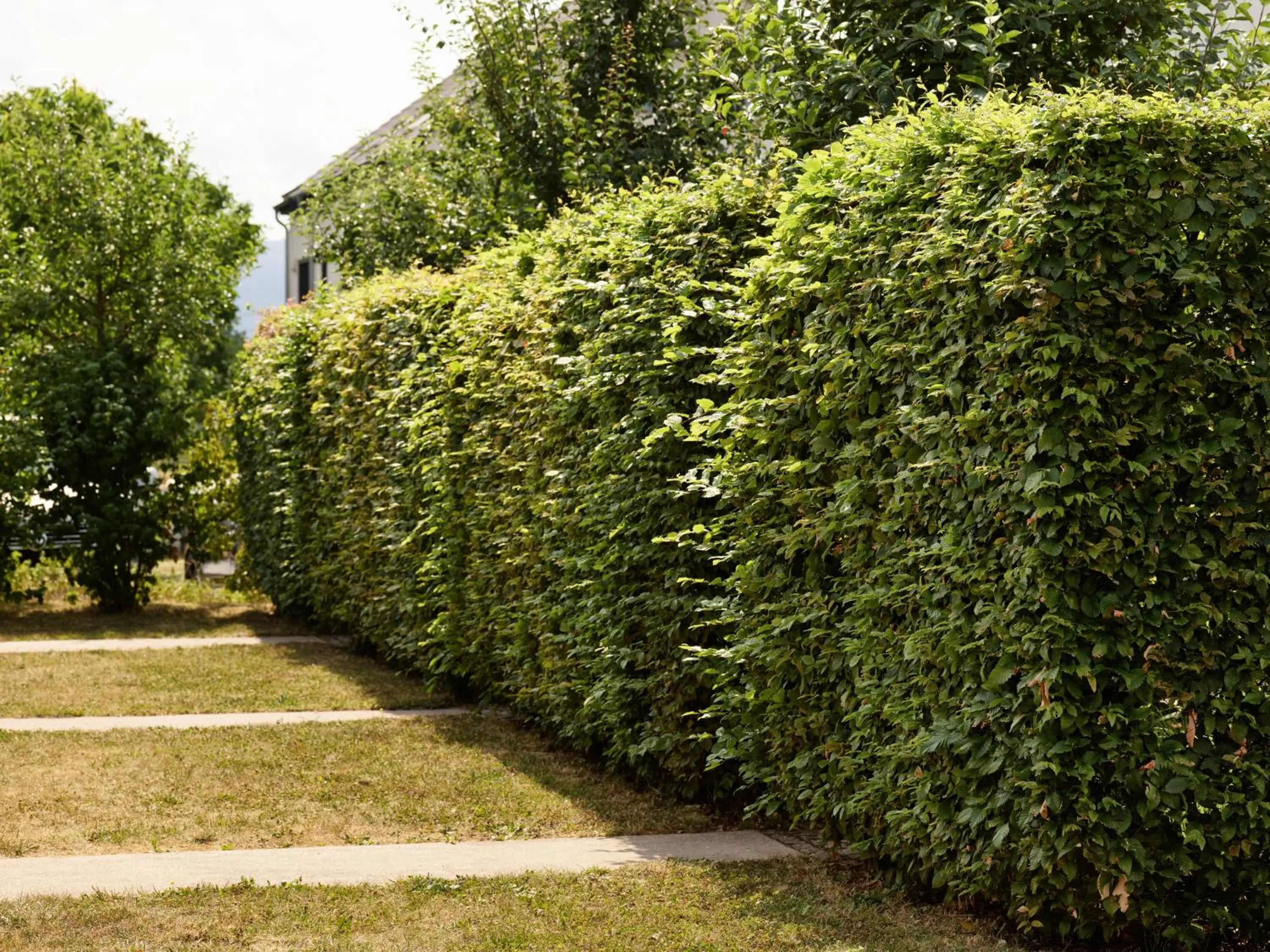 WeinKulturgut Longen-Schlöder