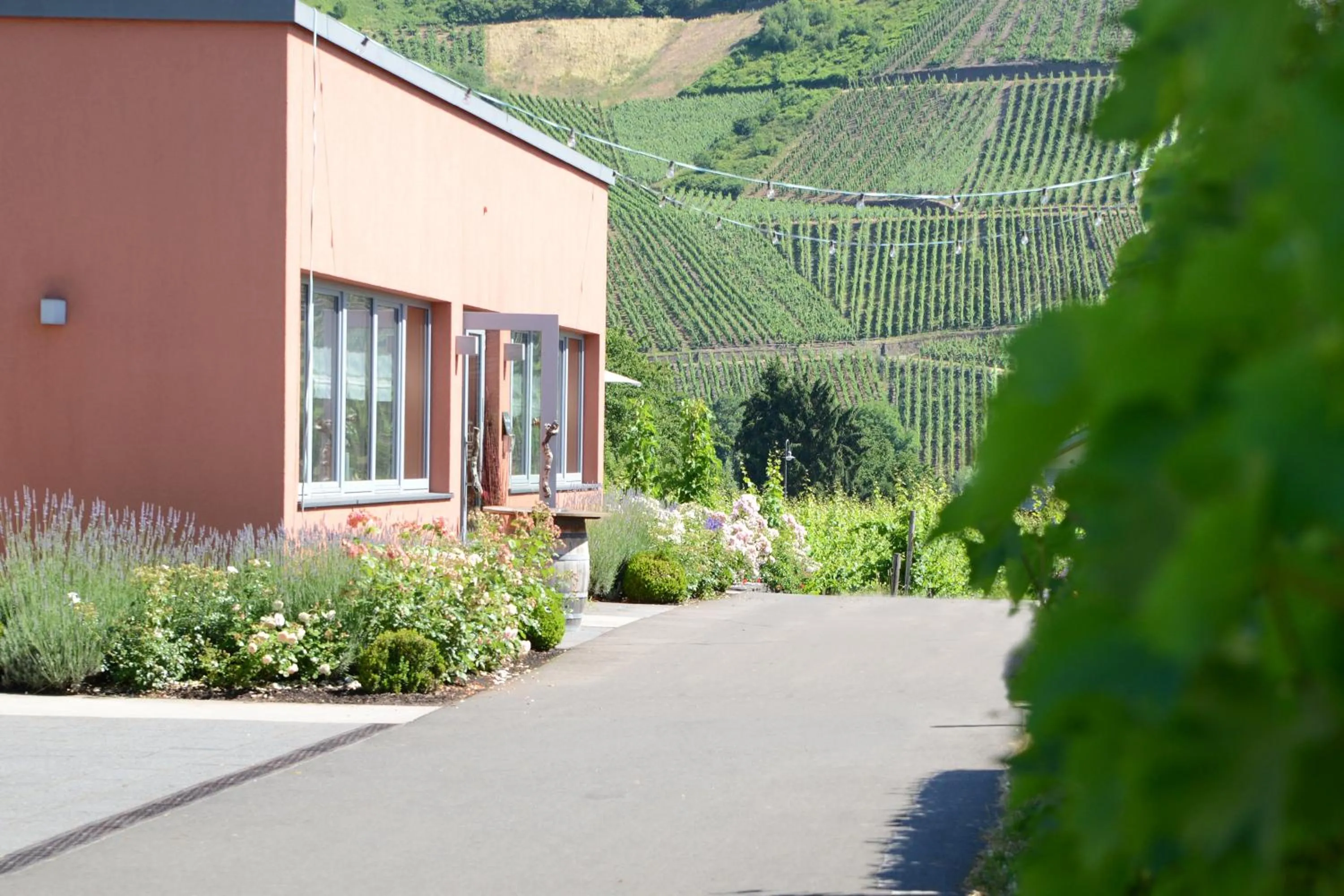 Property building in WeinKulturgut Longen-Schlöder