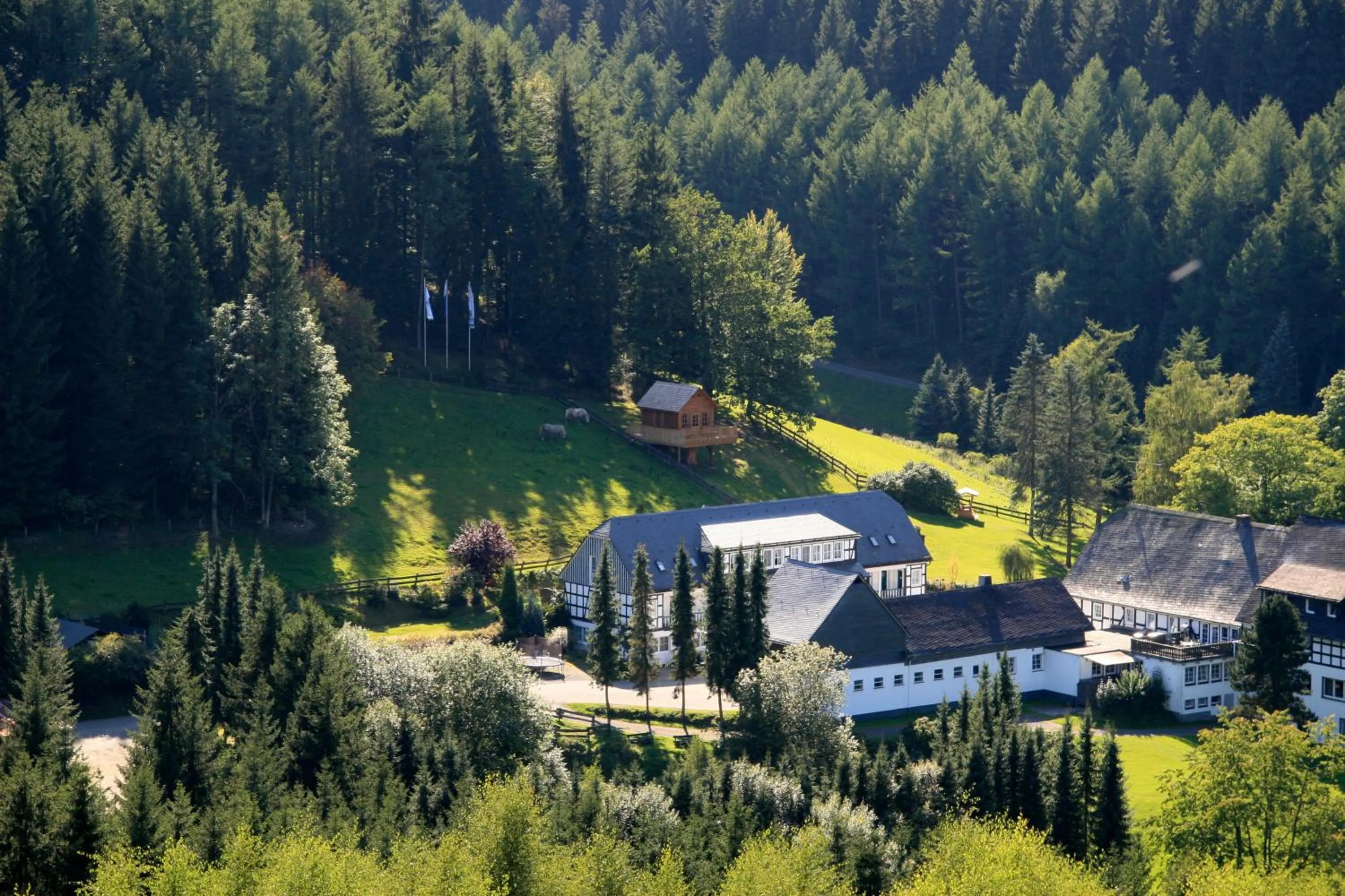 Bird's eye view in Hotel Gut Vorwald