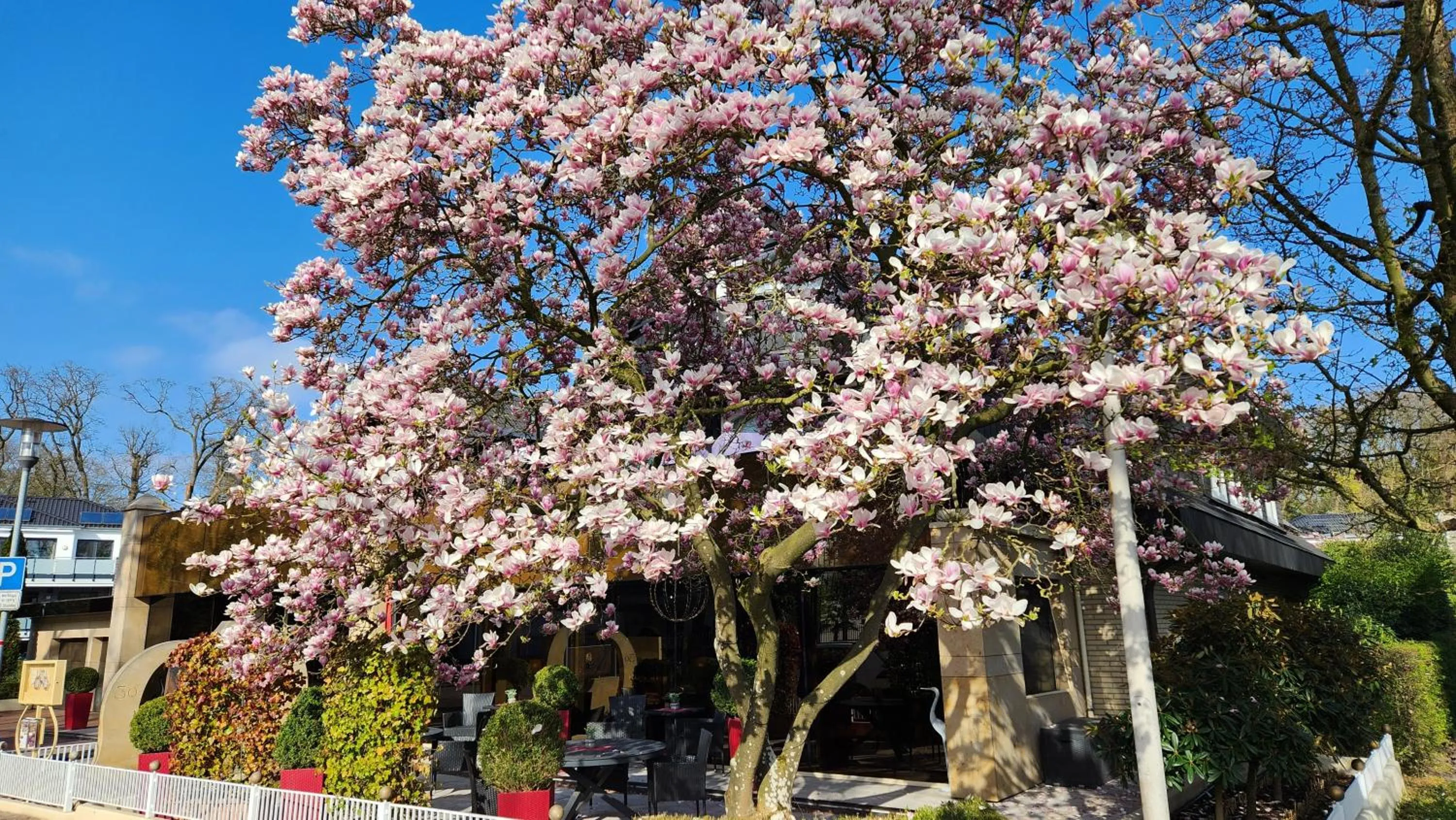 Property building in Villa am Park